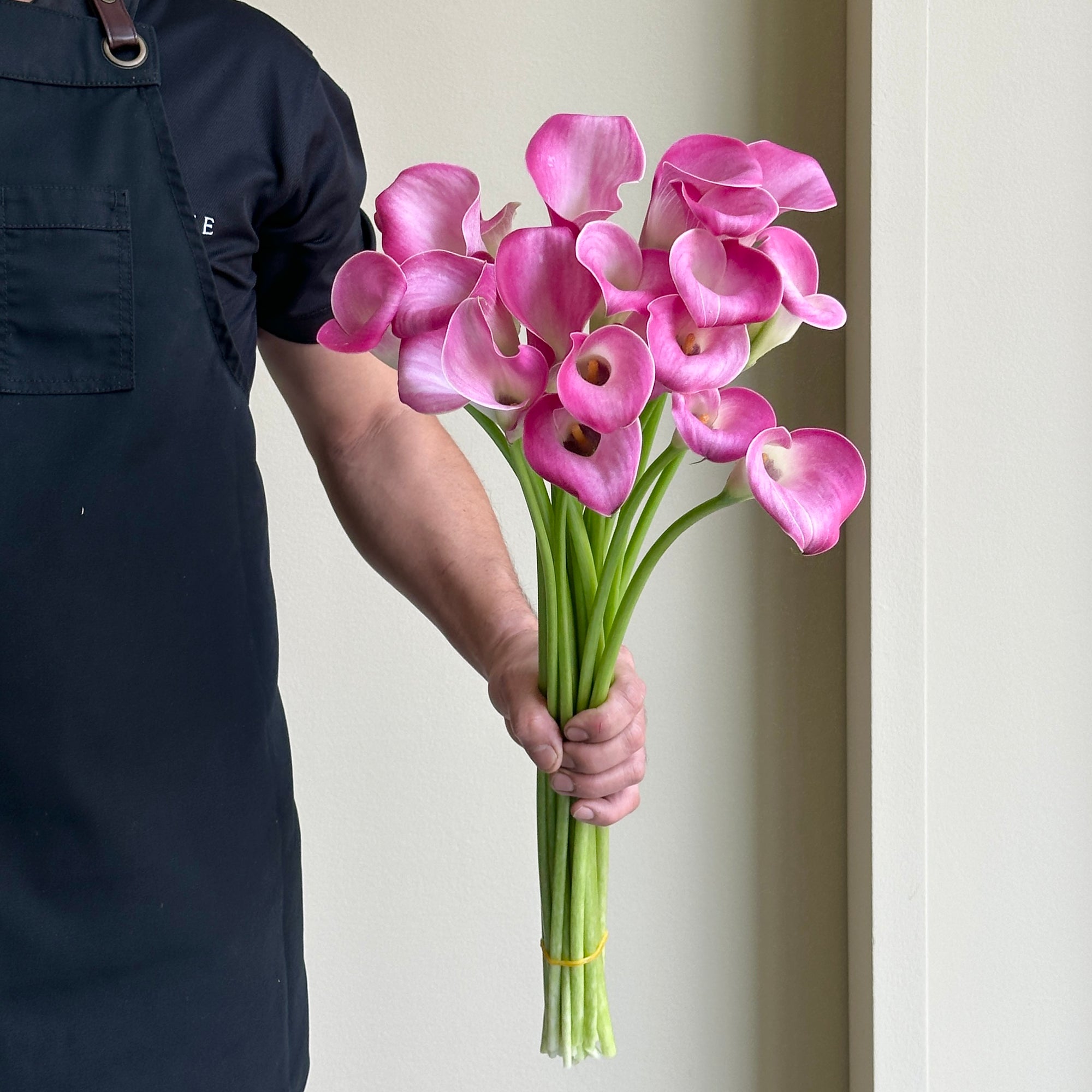 Calla Lilies - Fantasia Pink