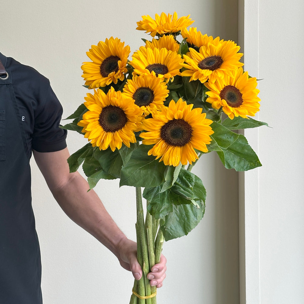 Sunflowers - Sunrich Provence
