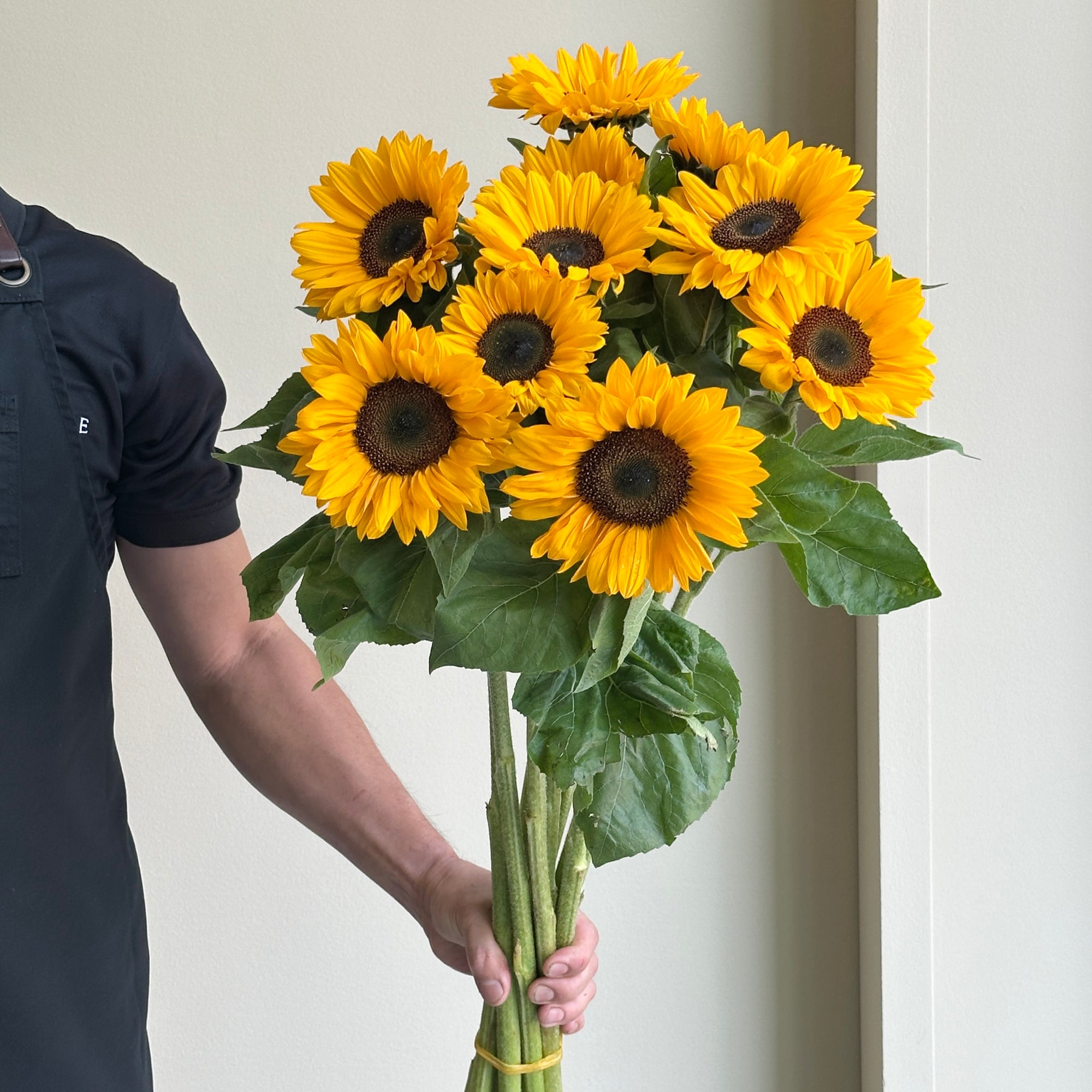 Sunflowers - Sunrich Provence