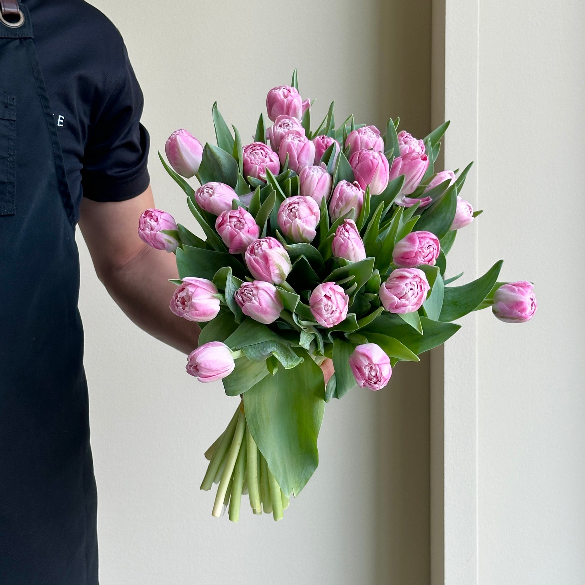 Tulips Double - Vogue Pink