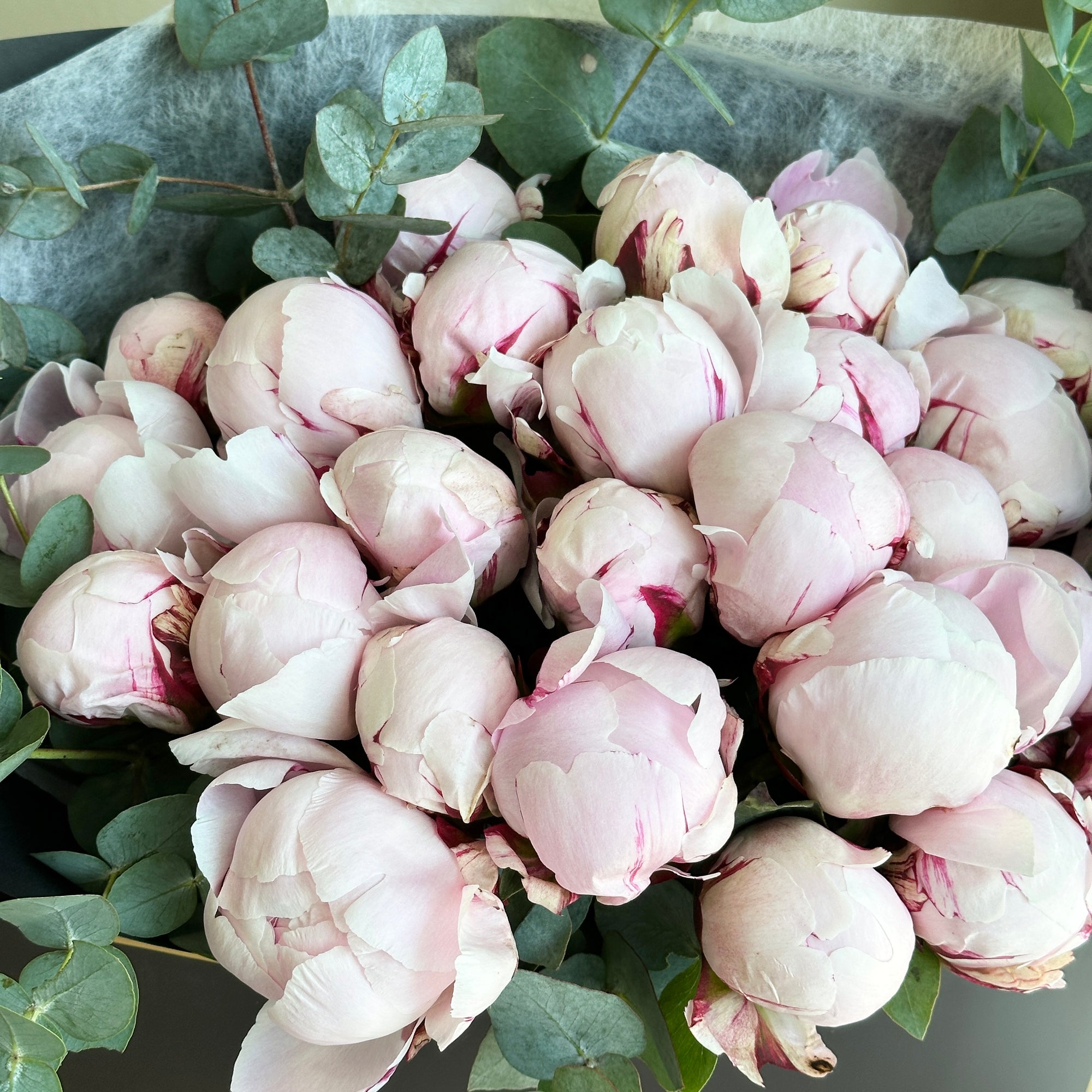 Cannes - Florette Gift Bag