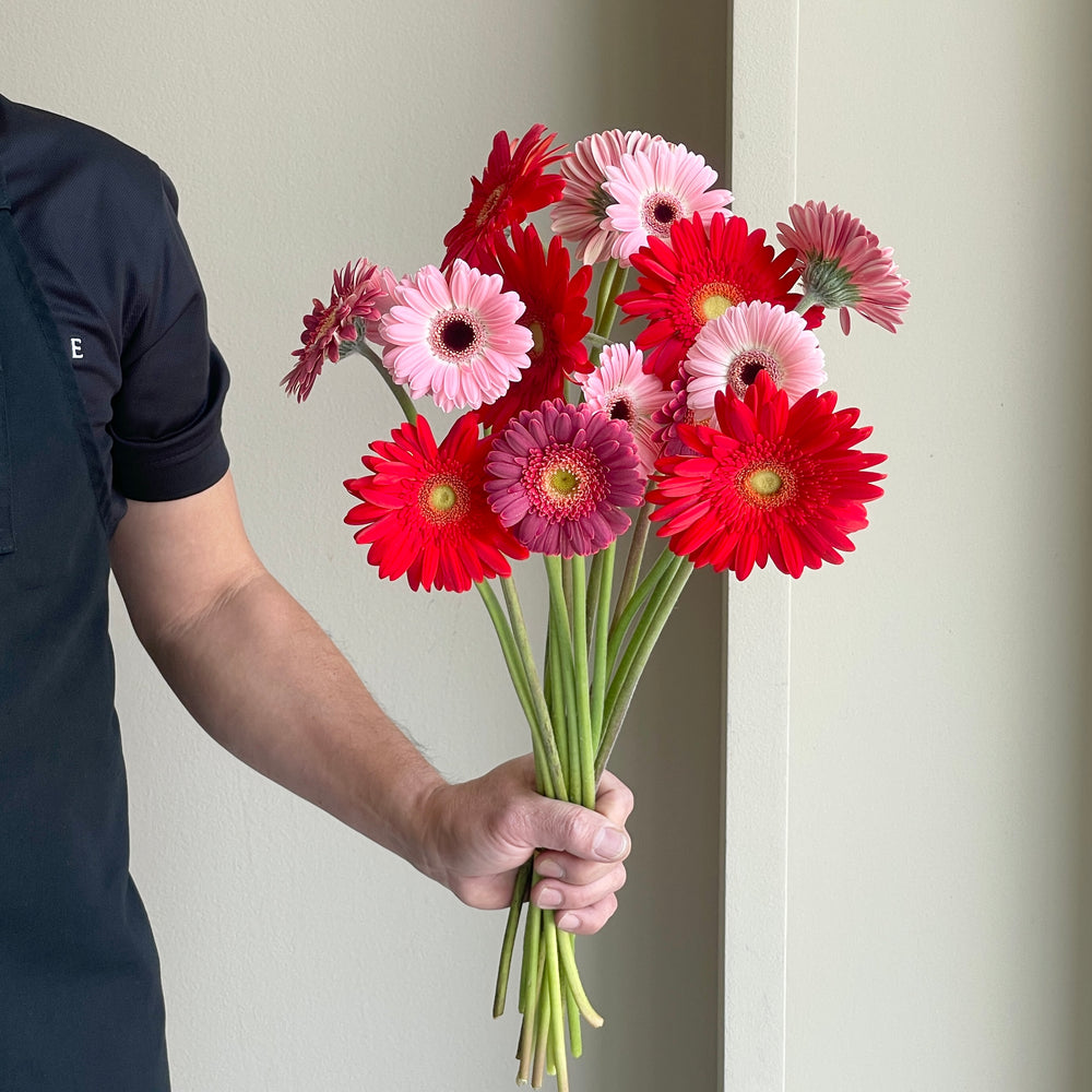 Gerbera Mix - Vibrant Love