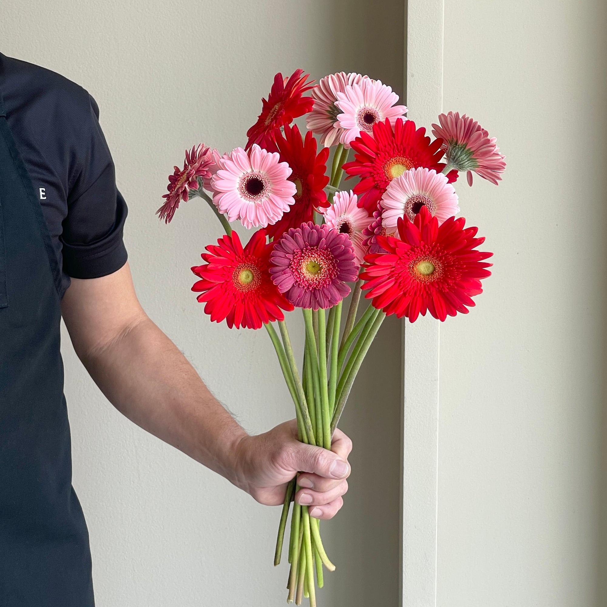 Gerbera Mix - Vibrant Love