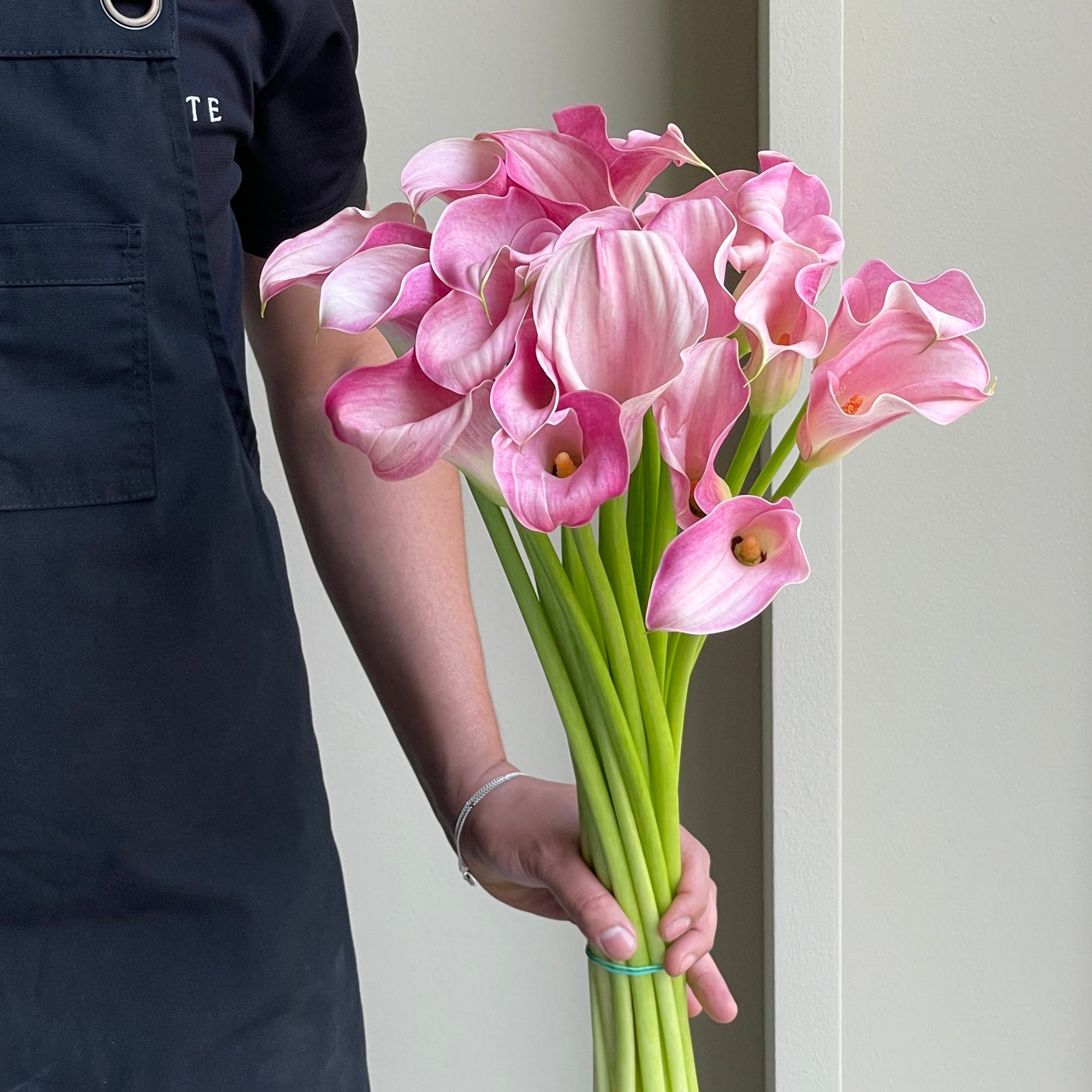 Calla Lilies - Blushing Lady Light Pink