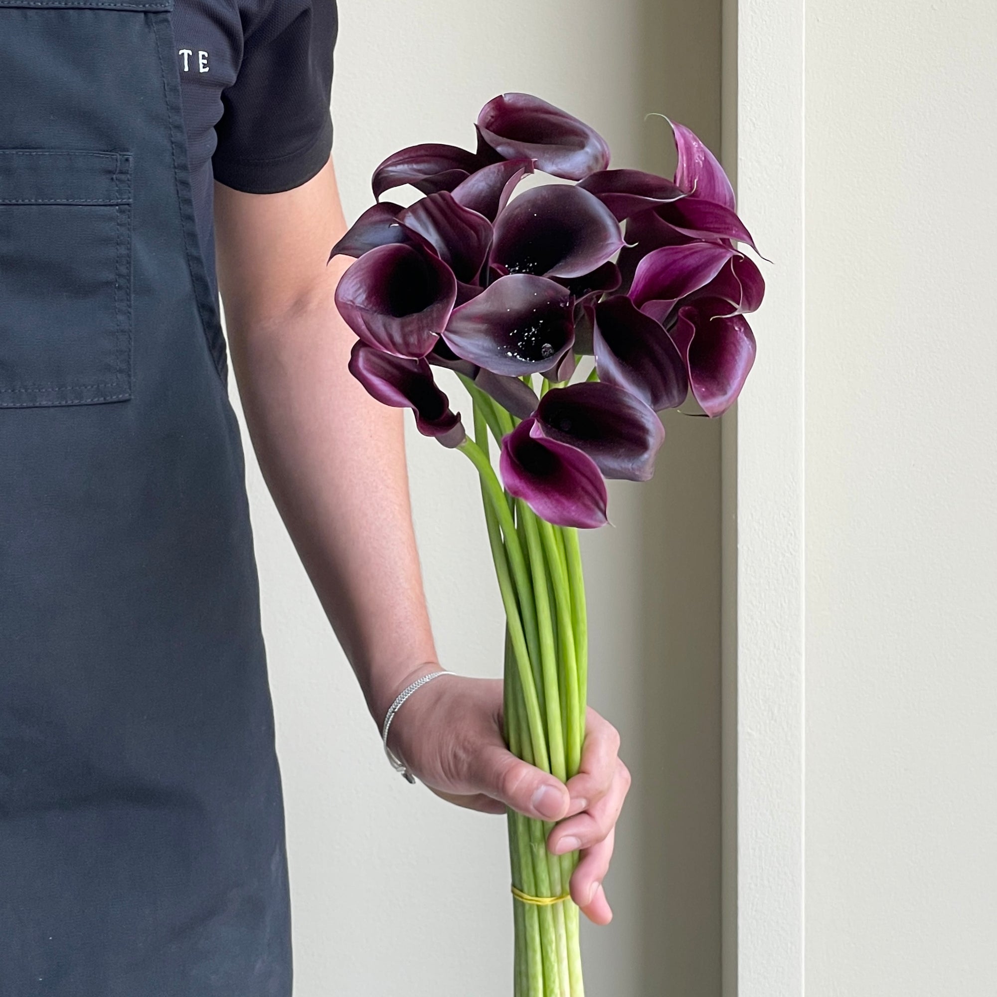 Calla Lilies - Odessa Black