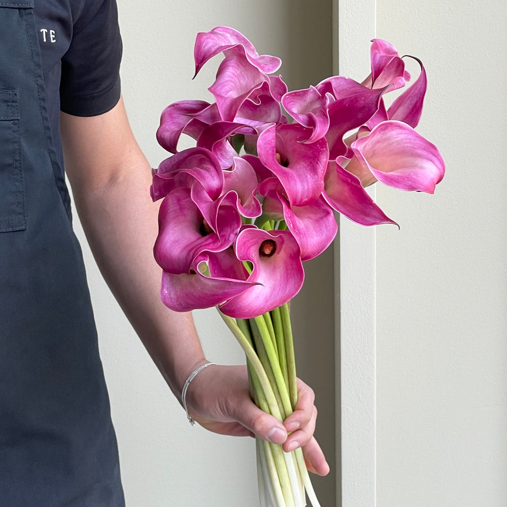 Calla Lilies - Captain Romance Pink