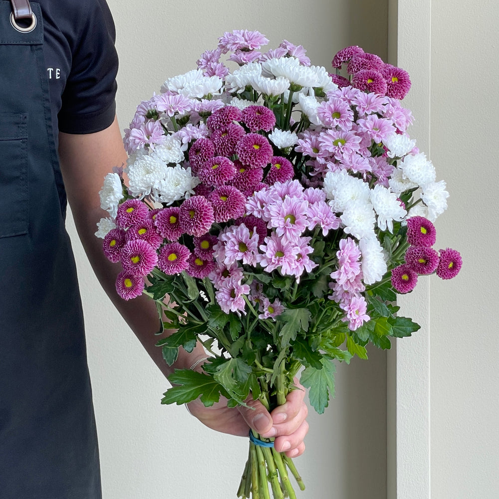 Chrysanthemum Spray - Sweet Mix (15 stems)