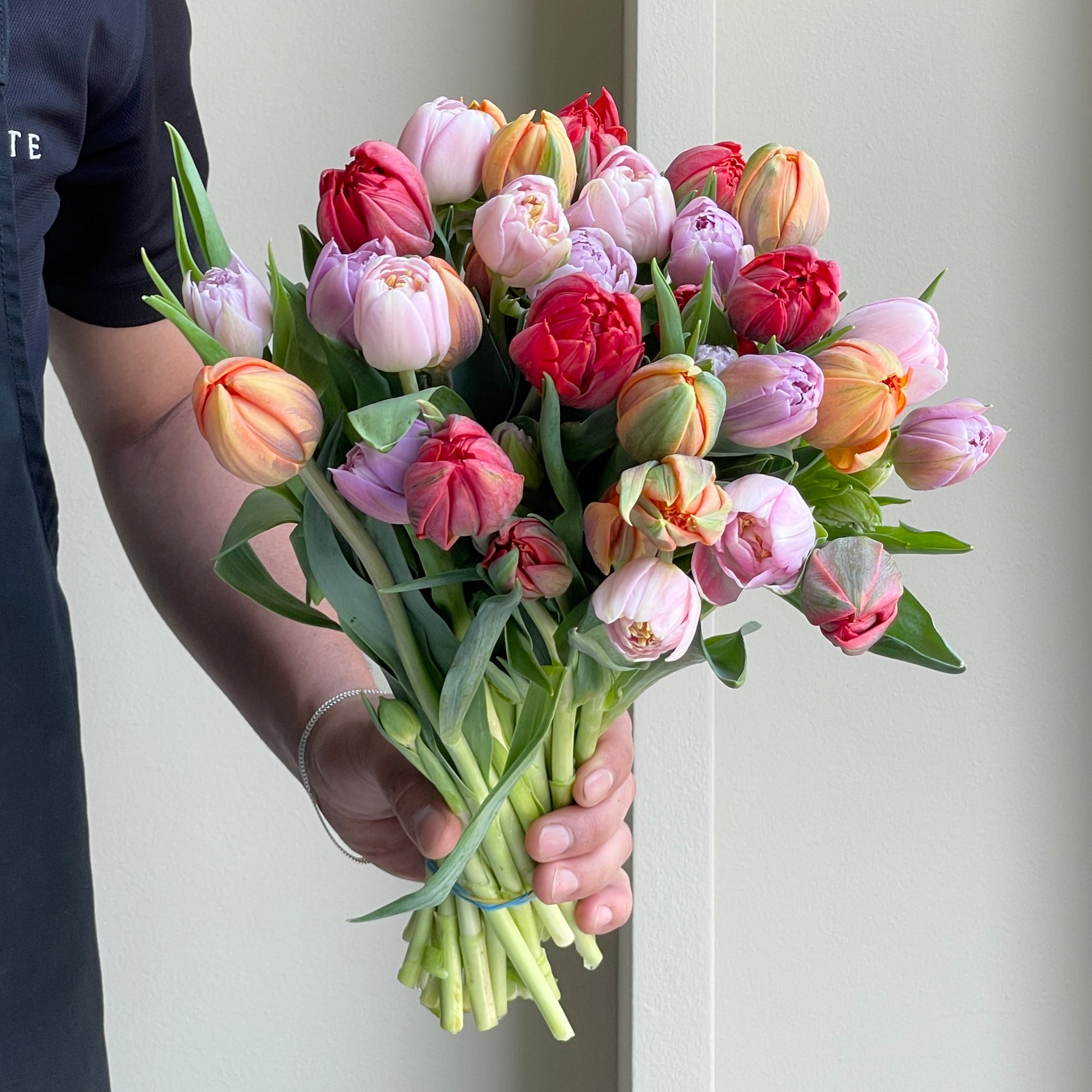 Tulips Double - Breeze Mix
