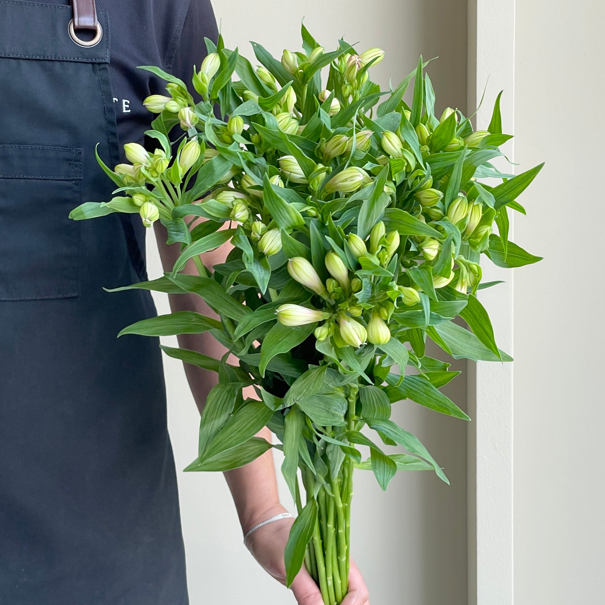 Alstroemerias - Sweet (15 stems)