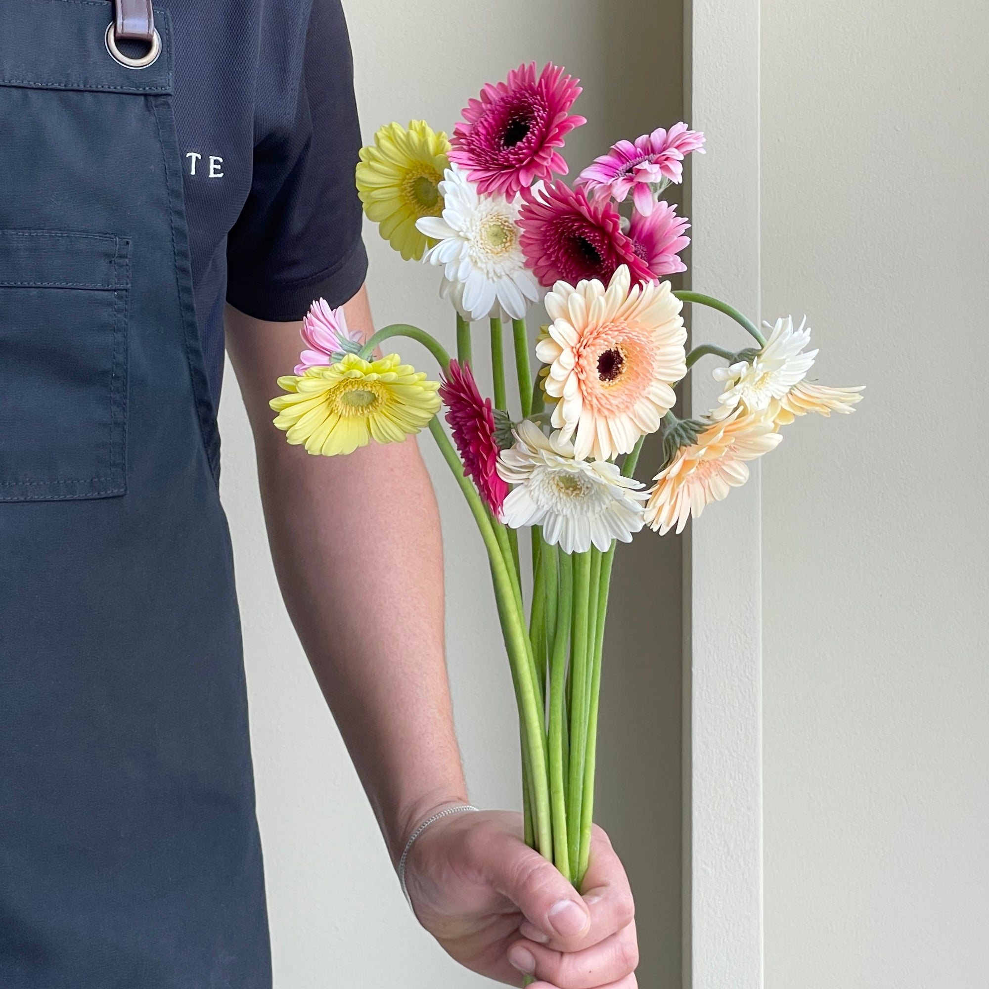 Gerbera Assorted - Pastel Dream (15 stems)