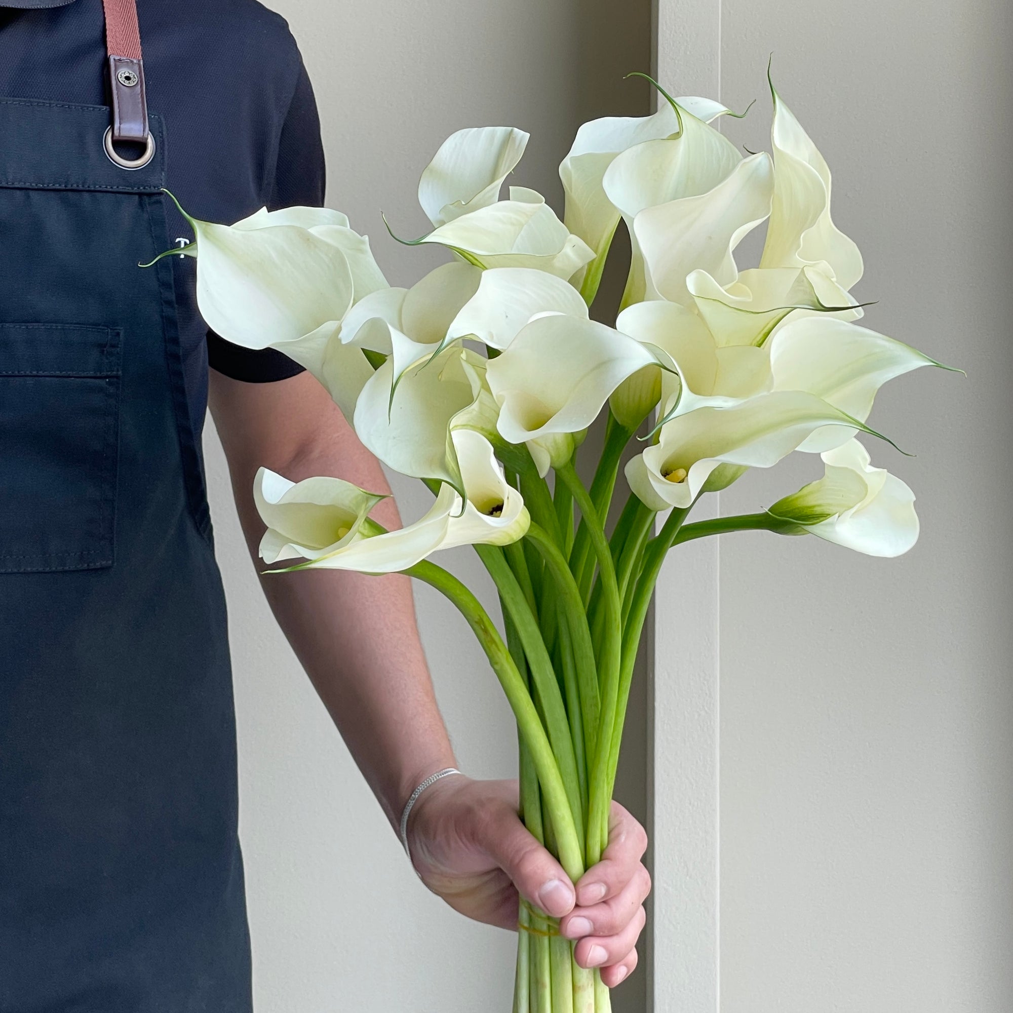 Calla Lilies - White Mambo