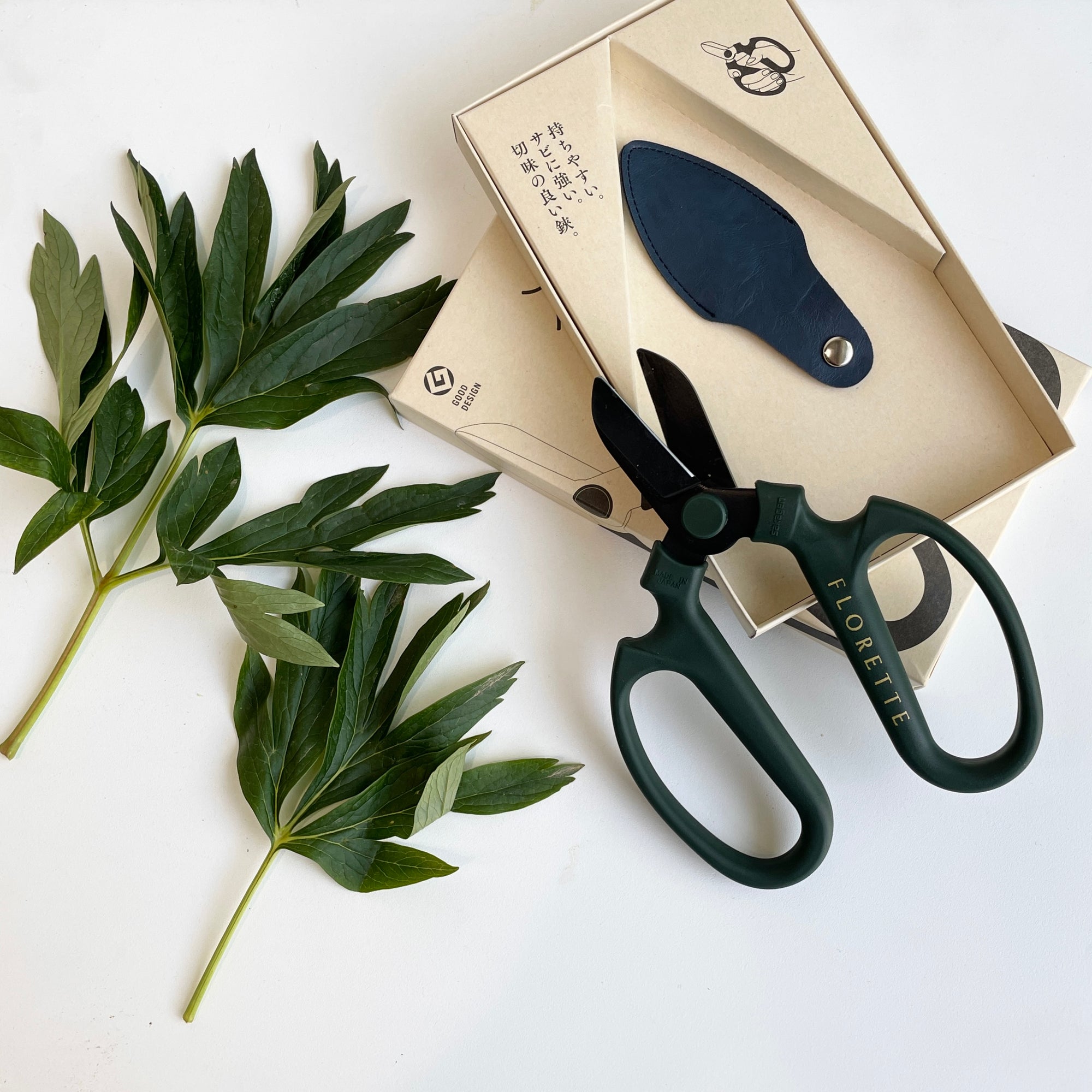 Floristry Scissors - Green with Black Blade