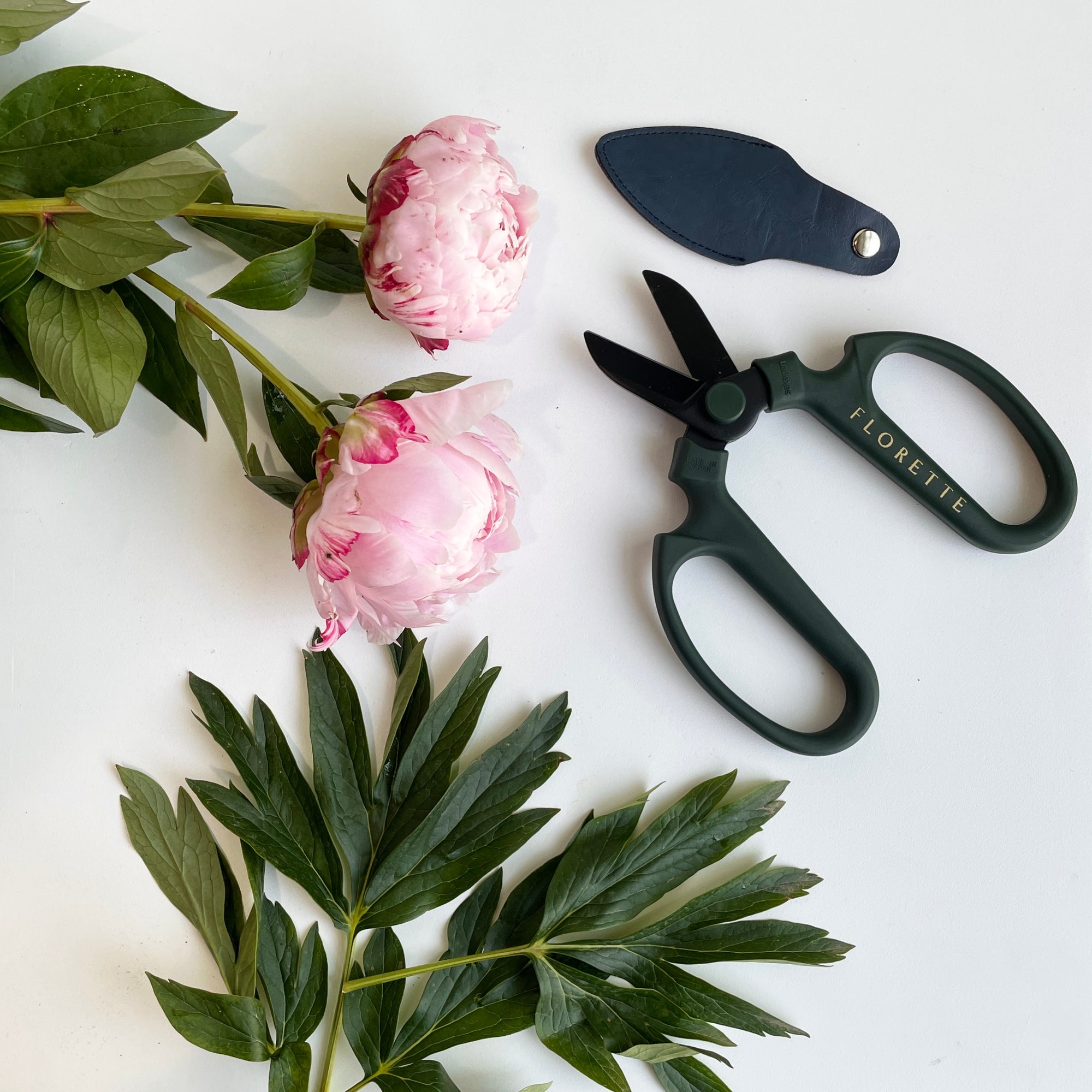 Floristry Scissors - Green with Black Blade