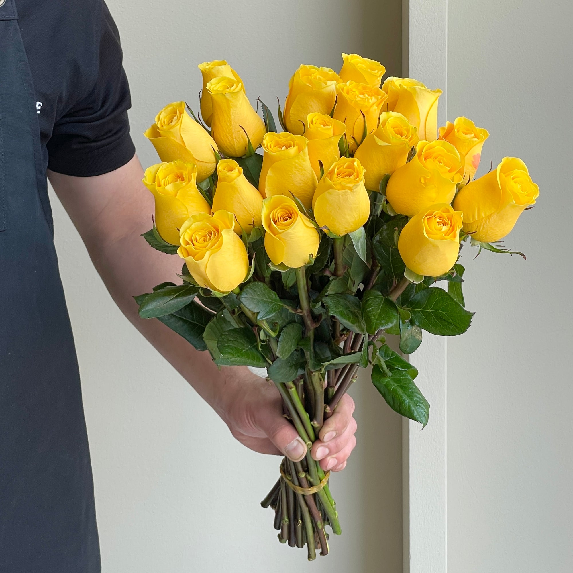 Roses - Brighton Yellow