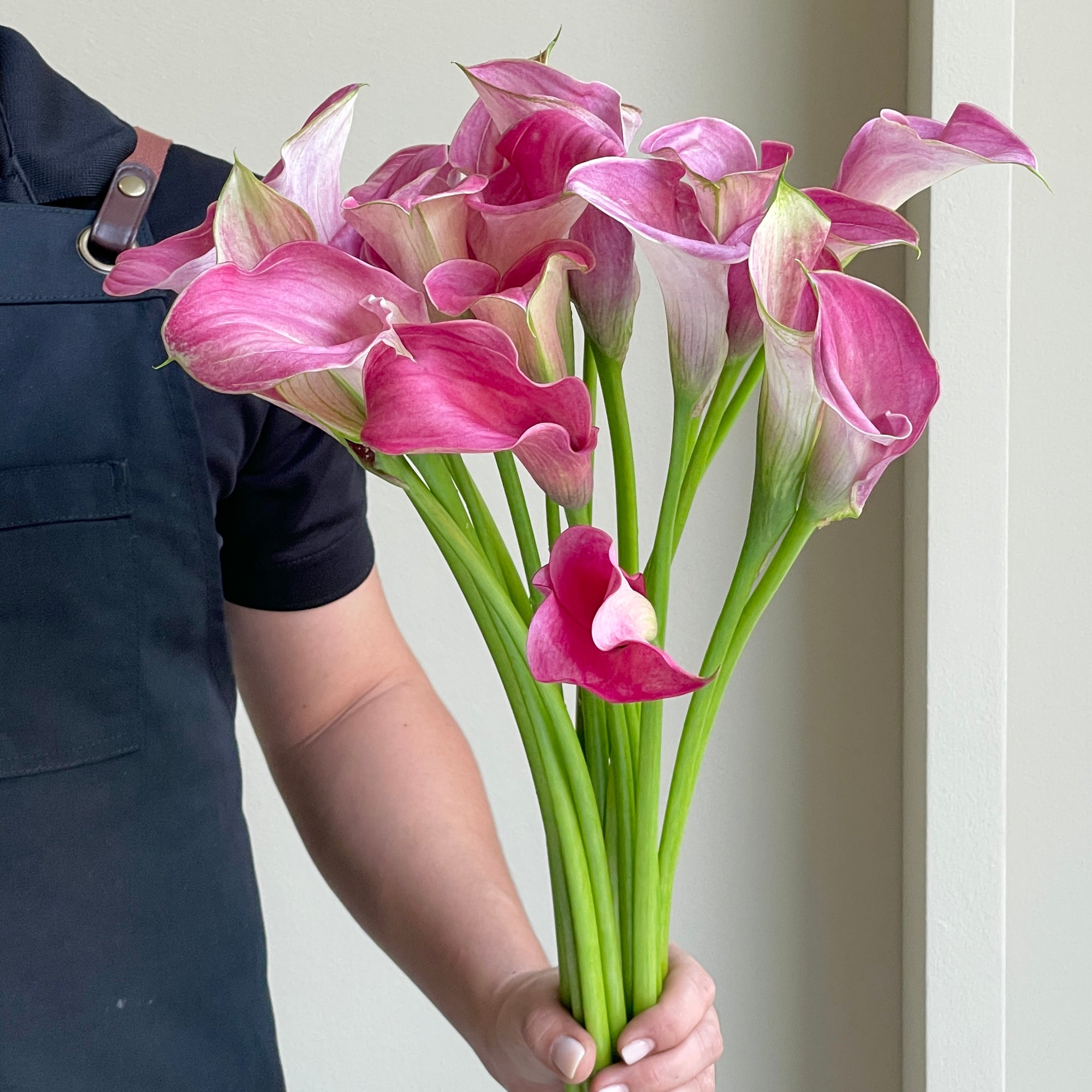 Calla Lilies - Denver Pink