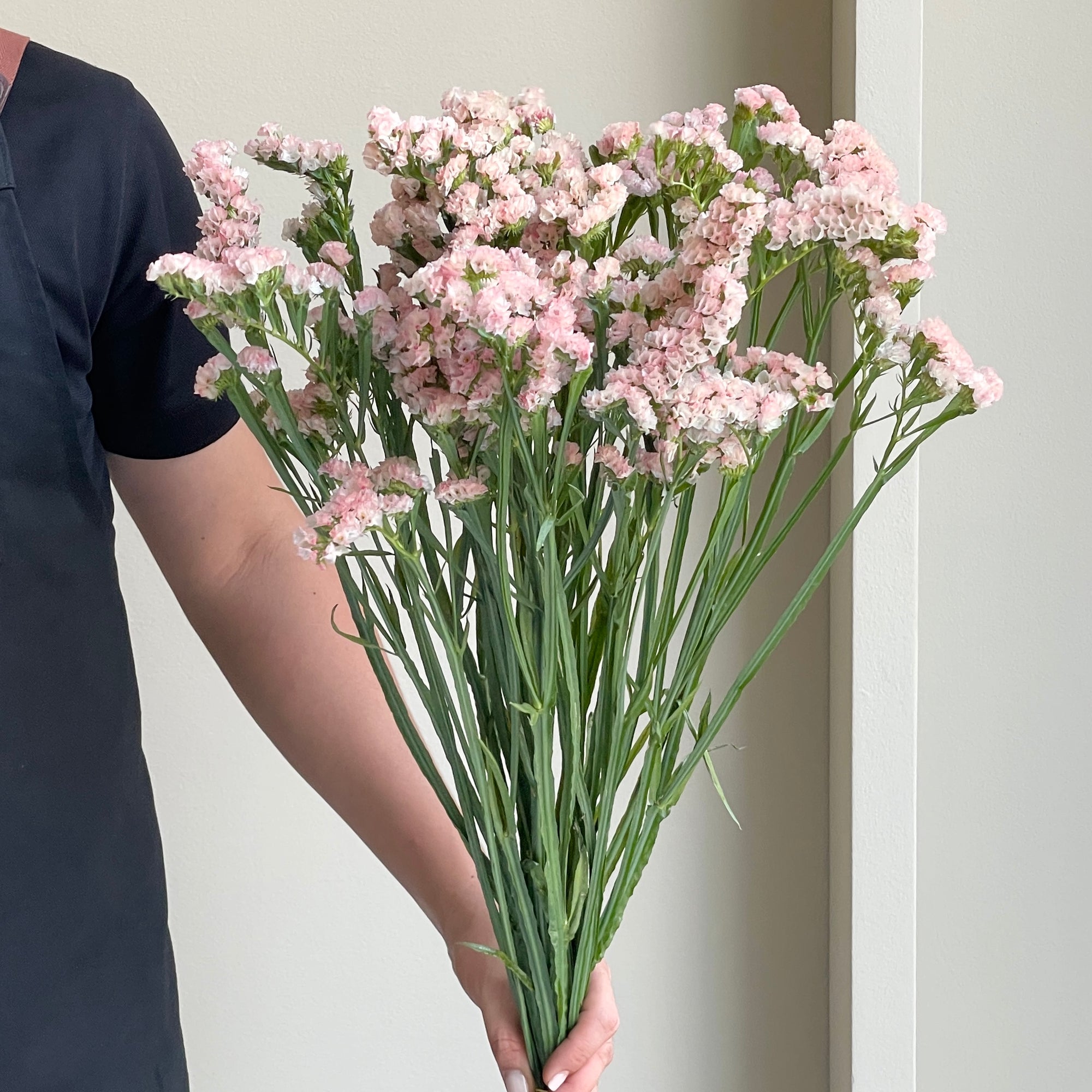 Statice - Sin Honey Apricot (15 stems)