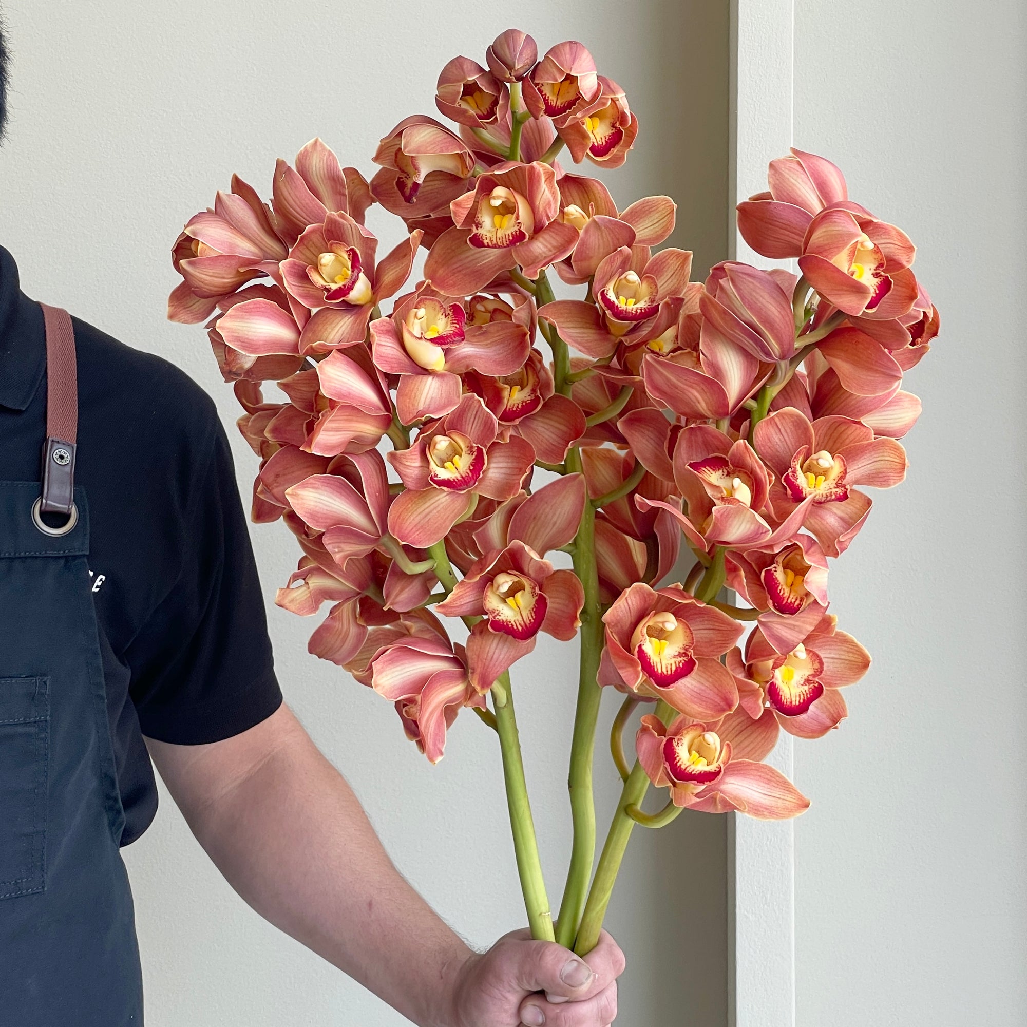 Cymbidium Orchids - Orange