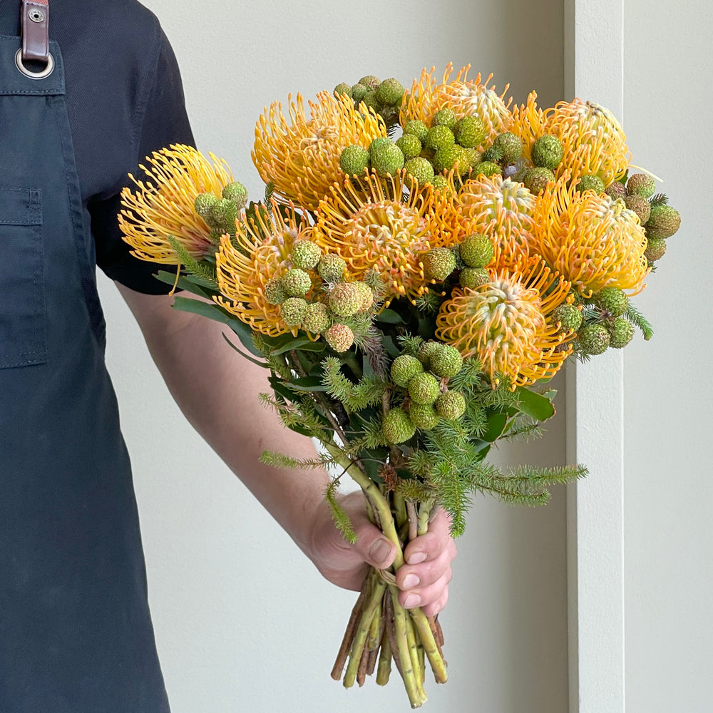 Cape Mix - Leucospemum Natural Bouquet