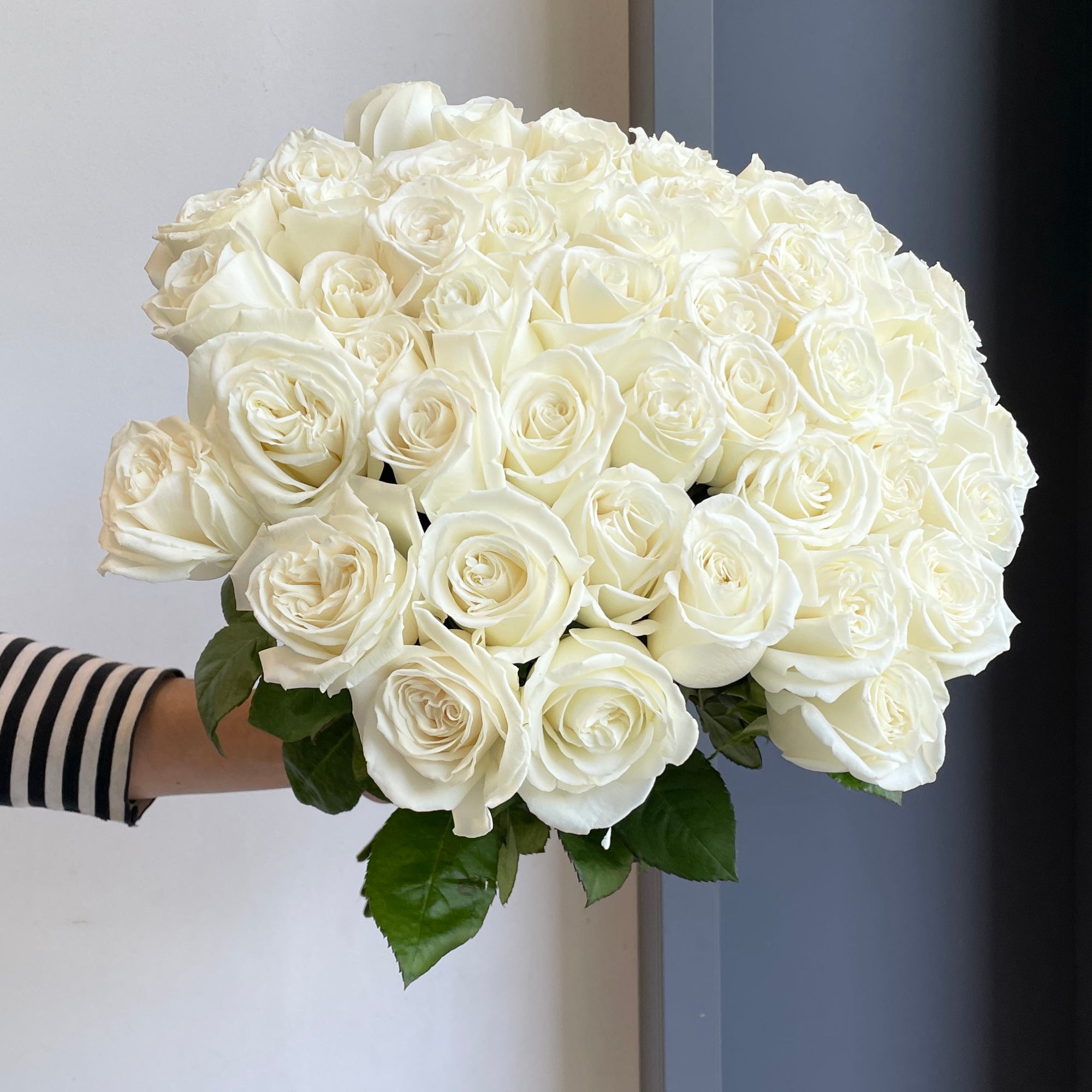 Roses - Beluga White (50 Stems)