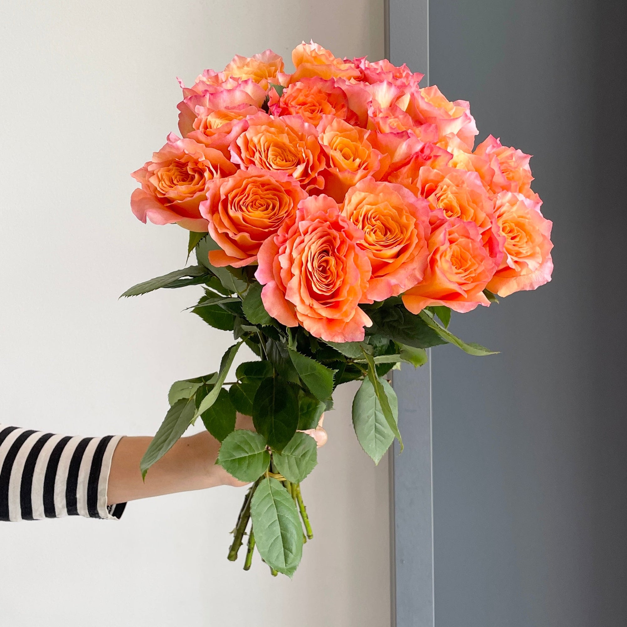 Roses - Free Spirit Orange
