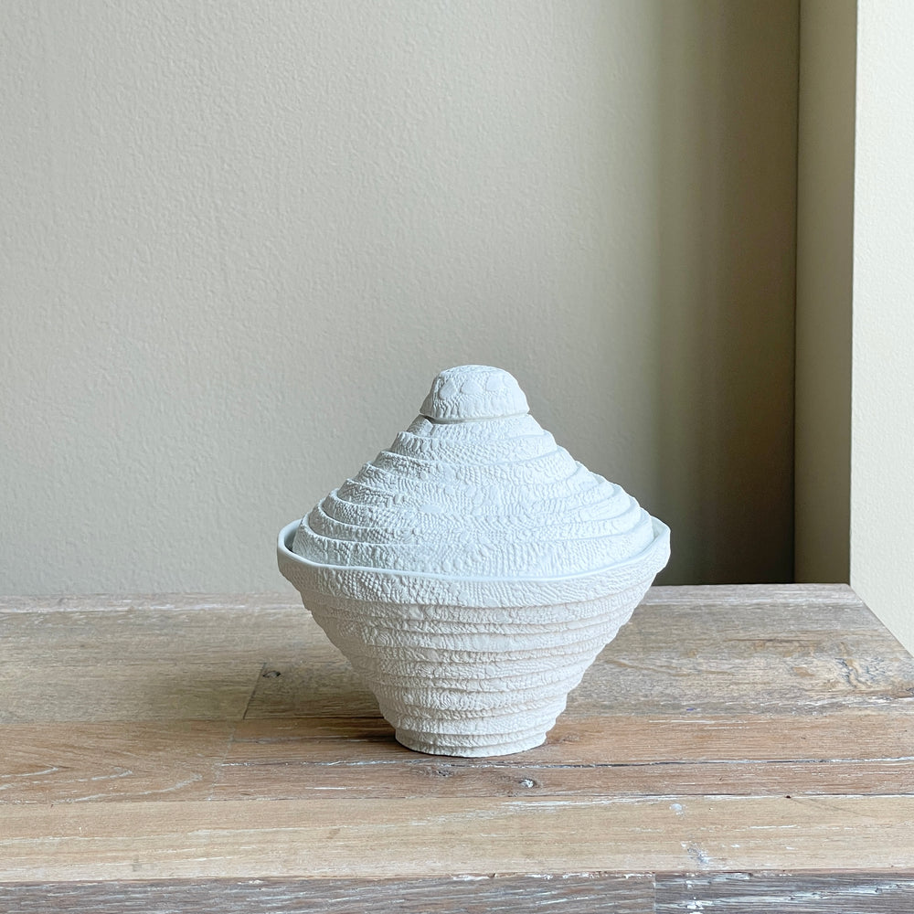 Cone Lace Coil Box (Medium)