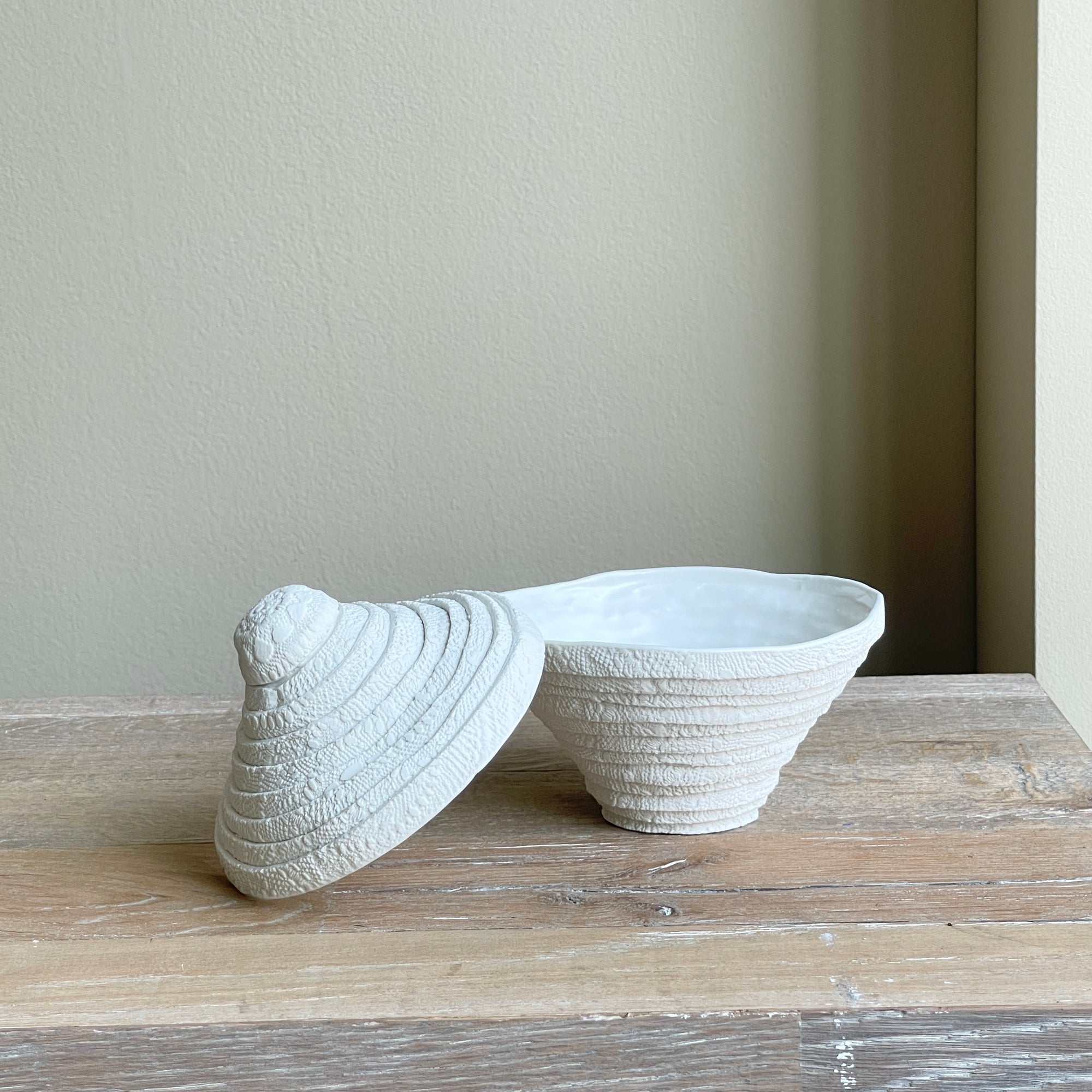 Cone Lace Coil Box (Medium)