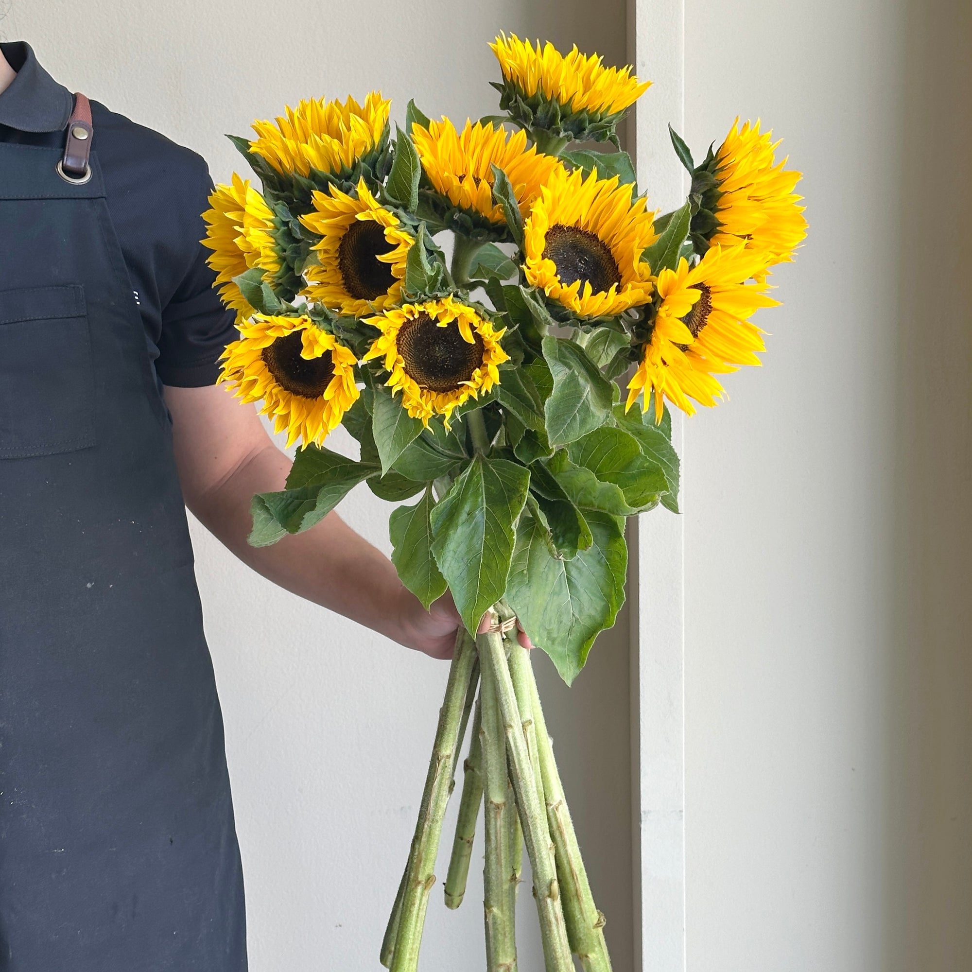 Sunflowers - Sunrich Orange