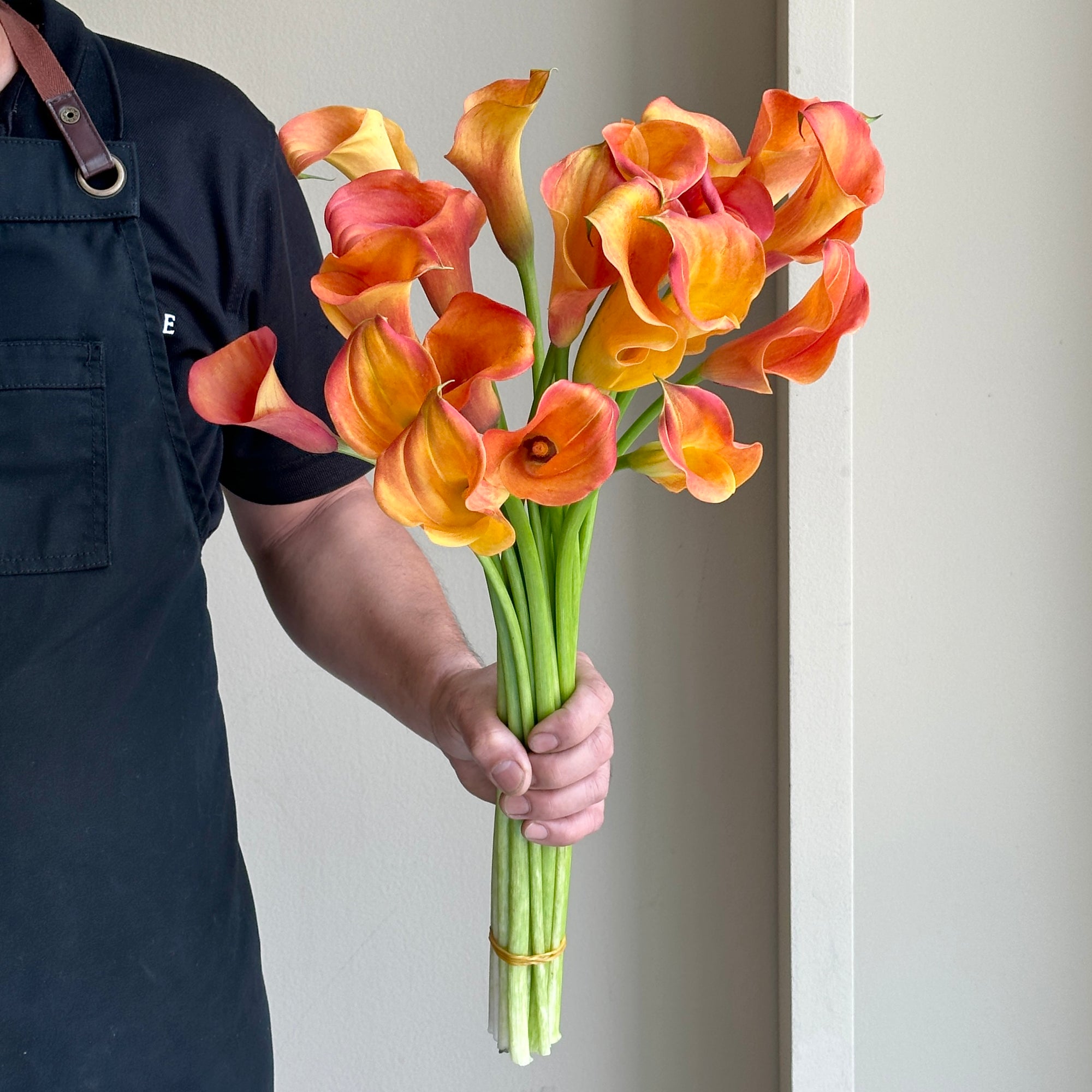 Calla Lilies - Captain Odeon Orange