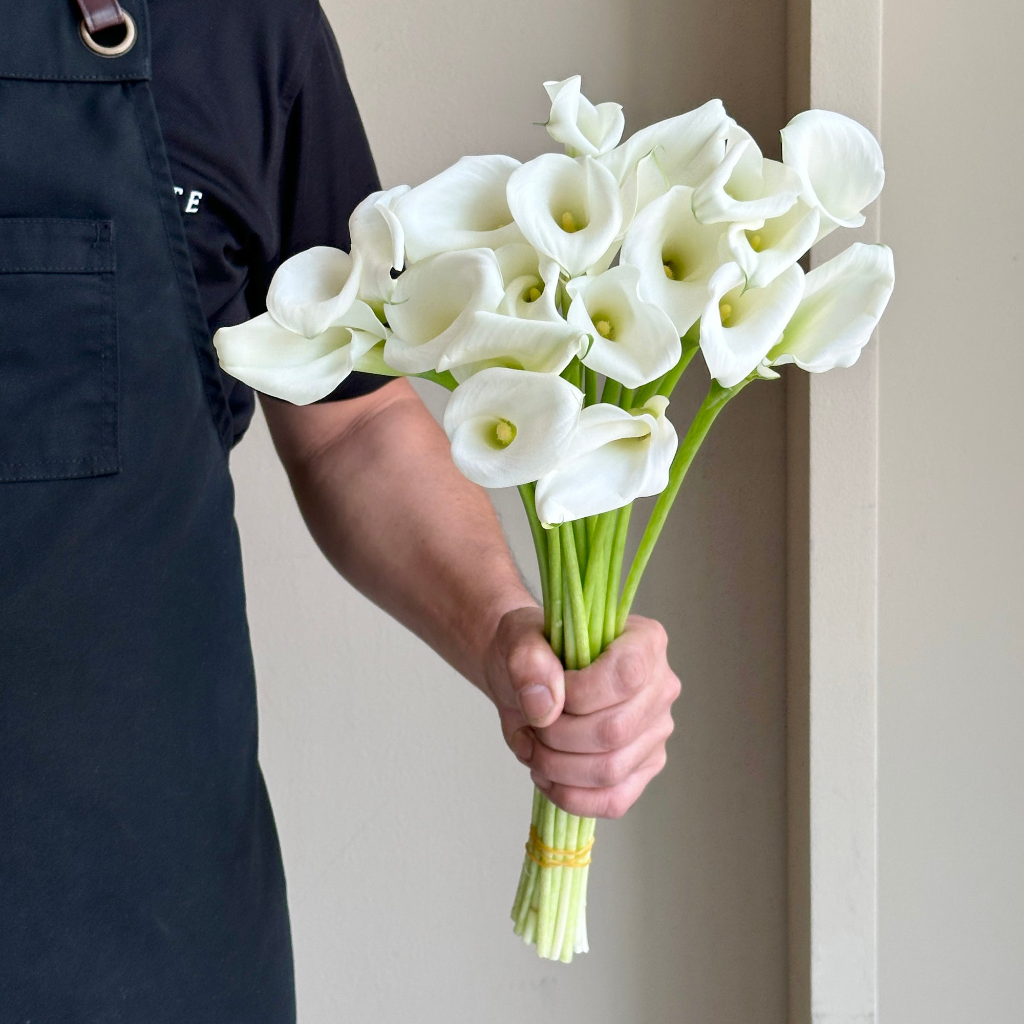 Calla Lilies - Captain White Art