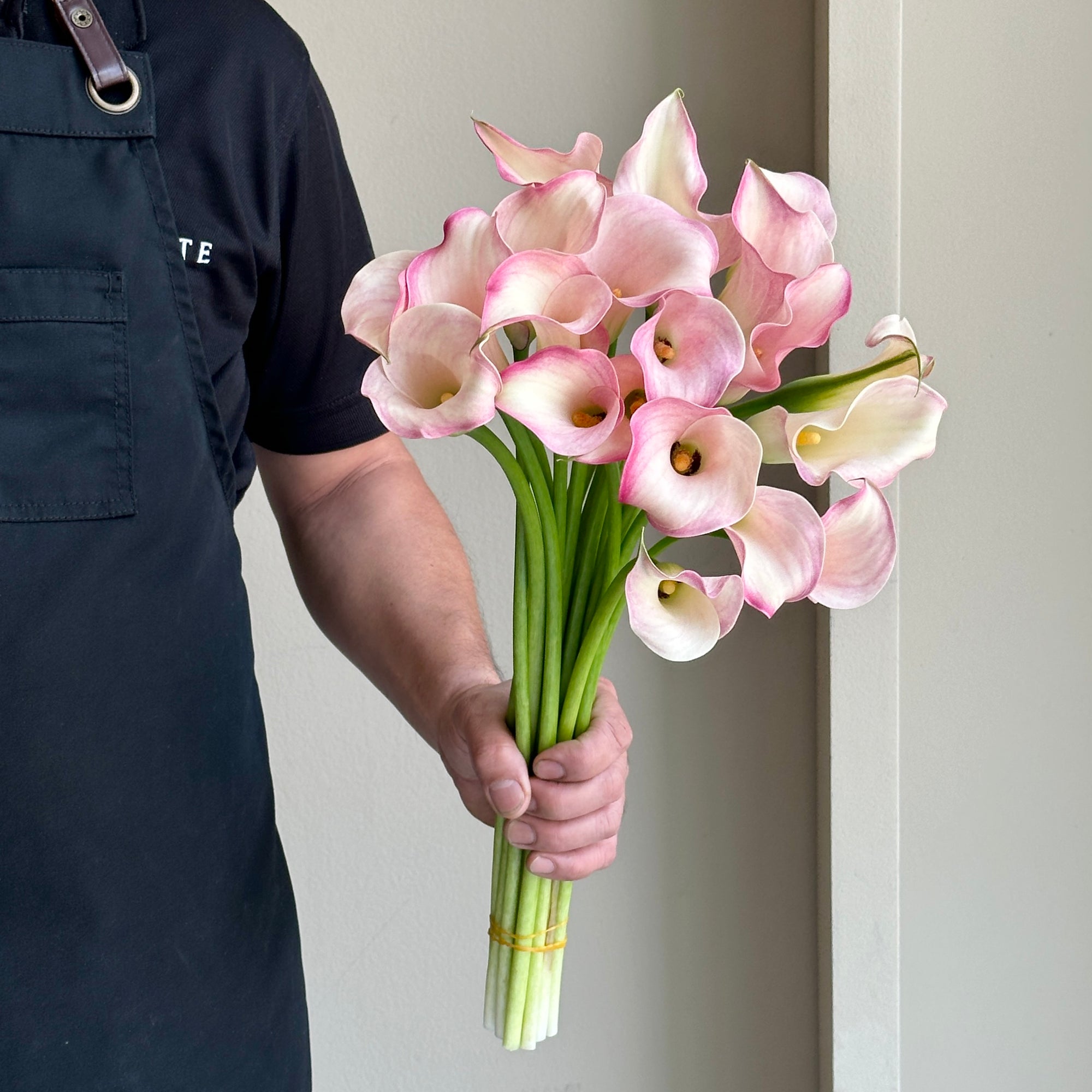 Calla Lilies - Blushing Lady Light Pink