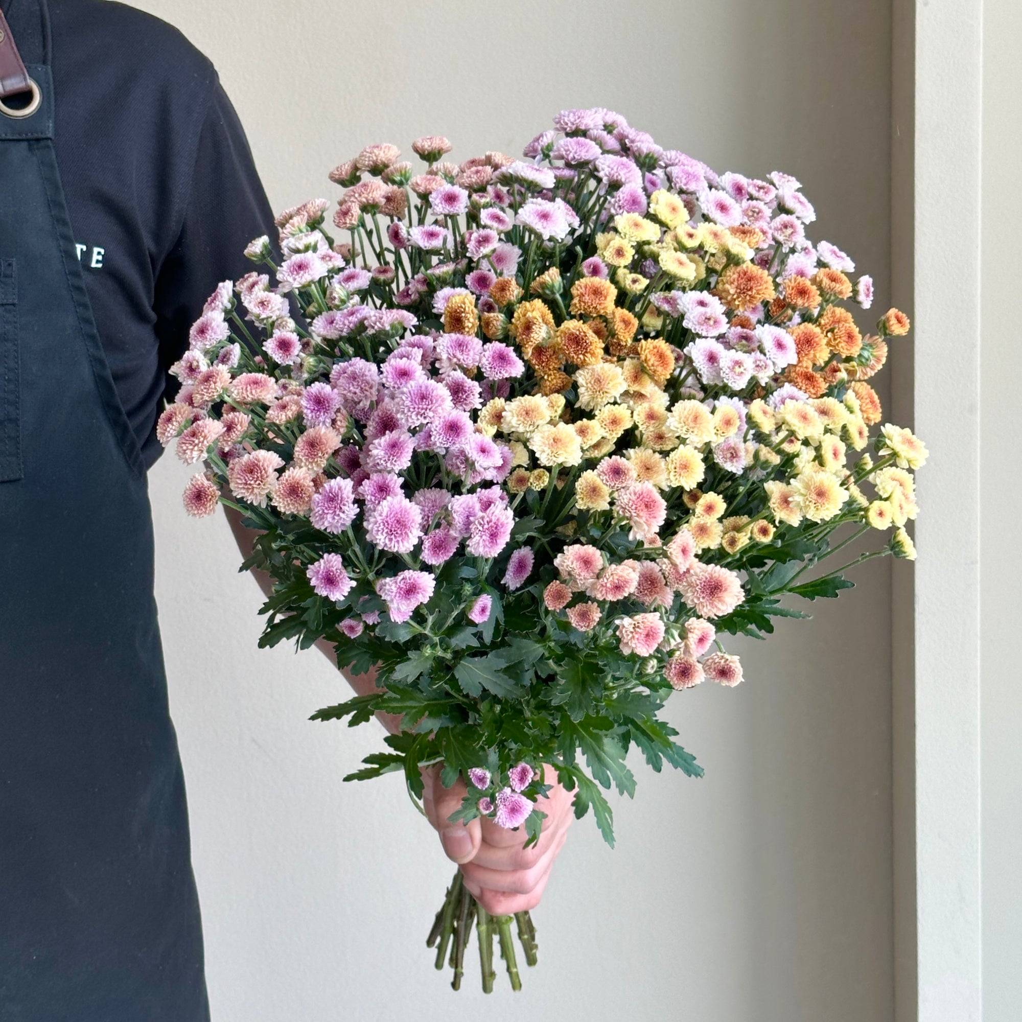 Chrysanthemum Santini - Madiba Mix (15 stems)