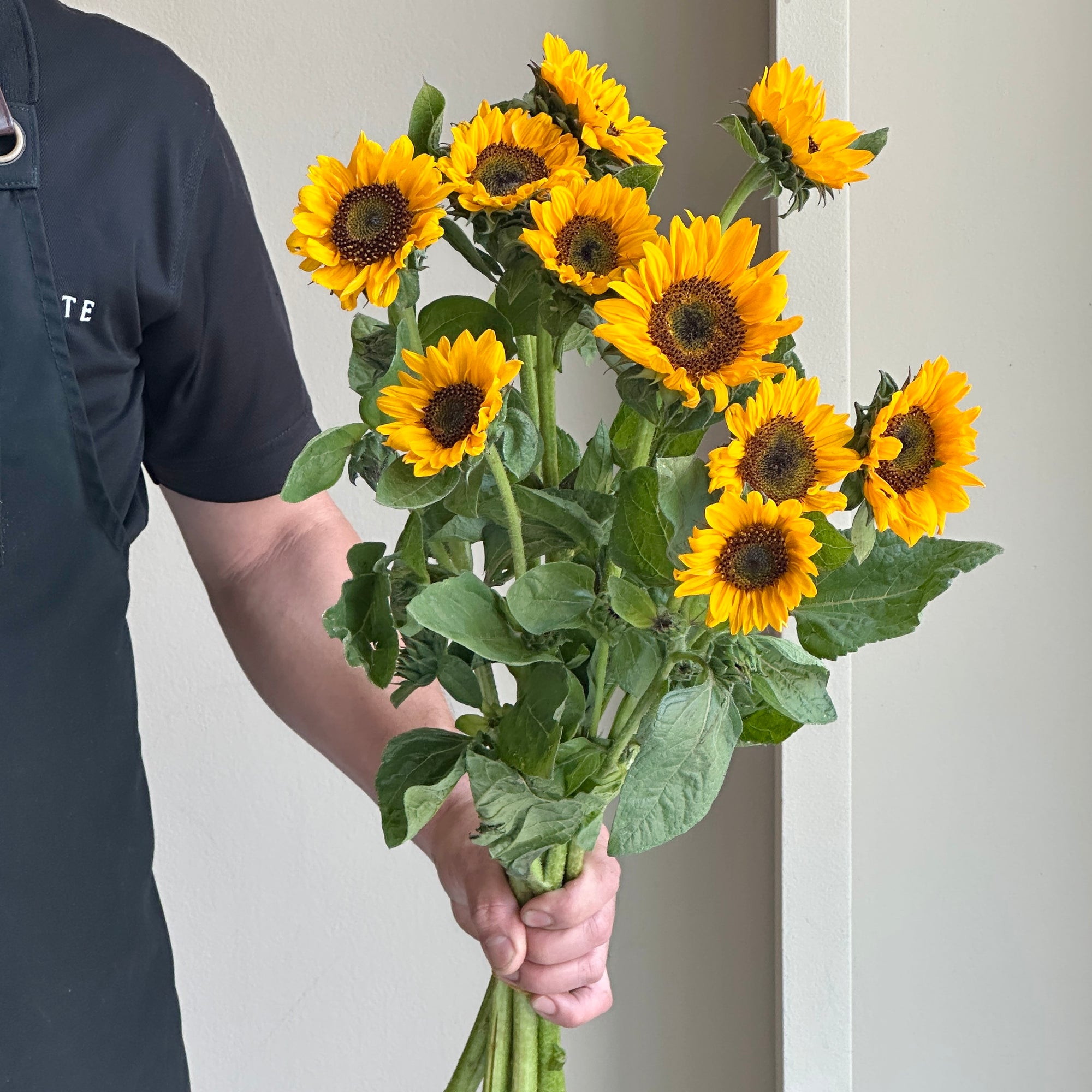 Sunflower - Sonja Orange (Mini)