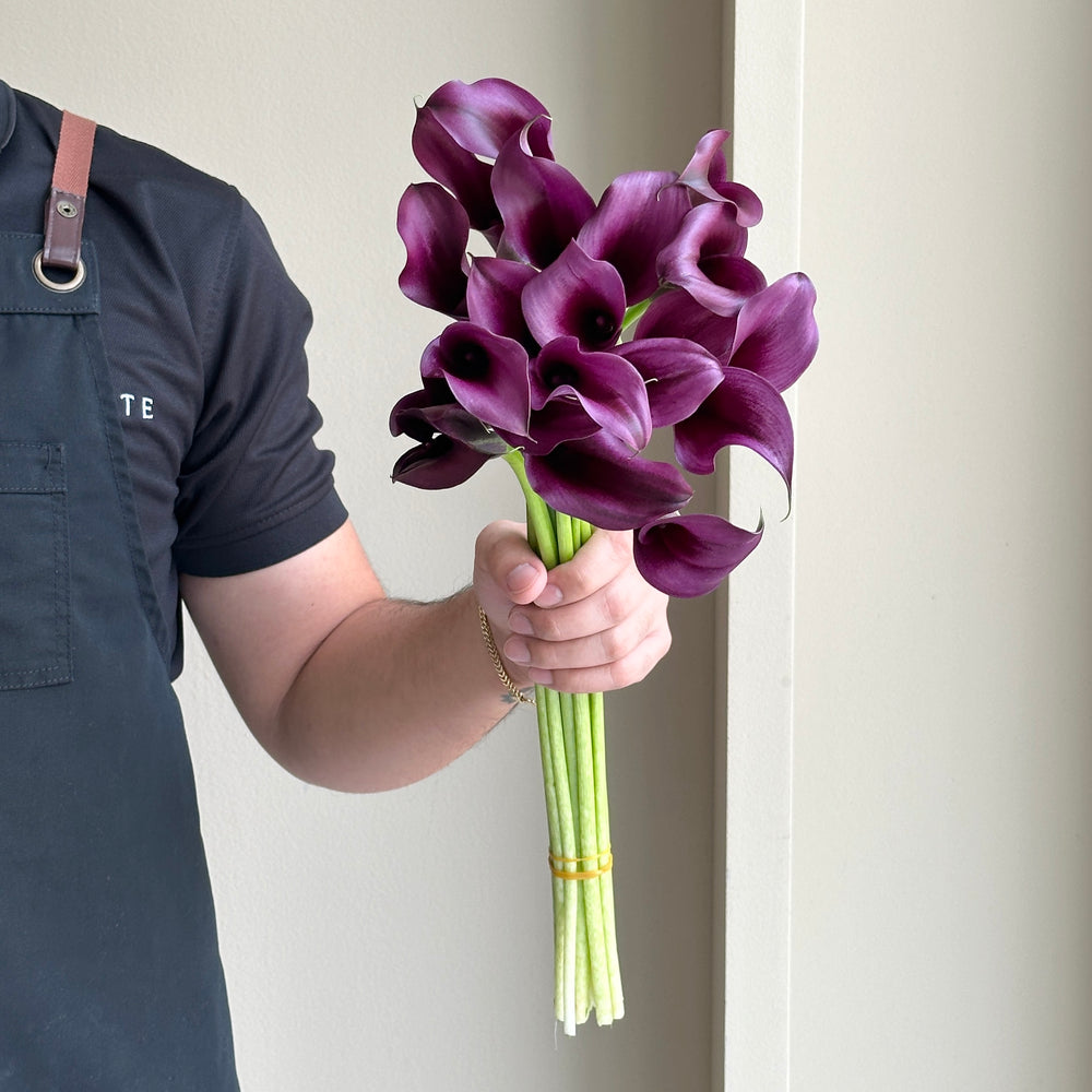 Calla Lilies - Odessa Black