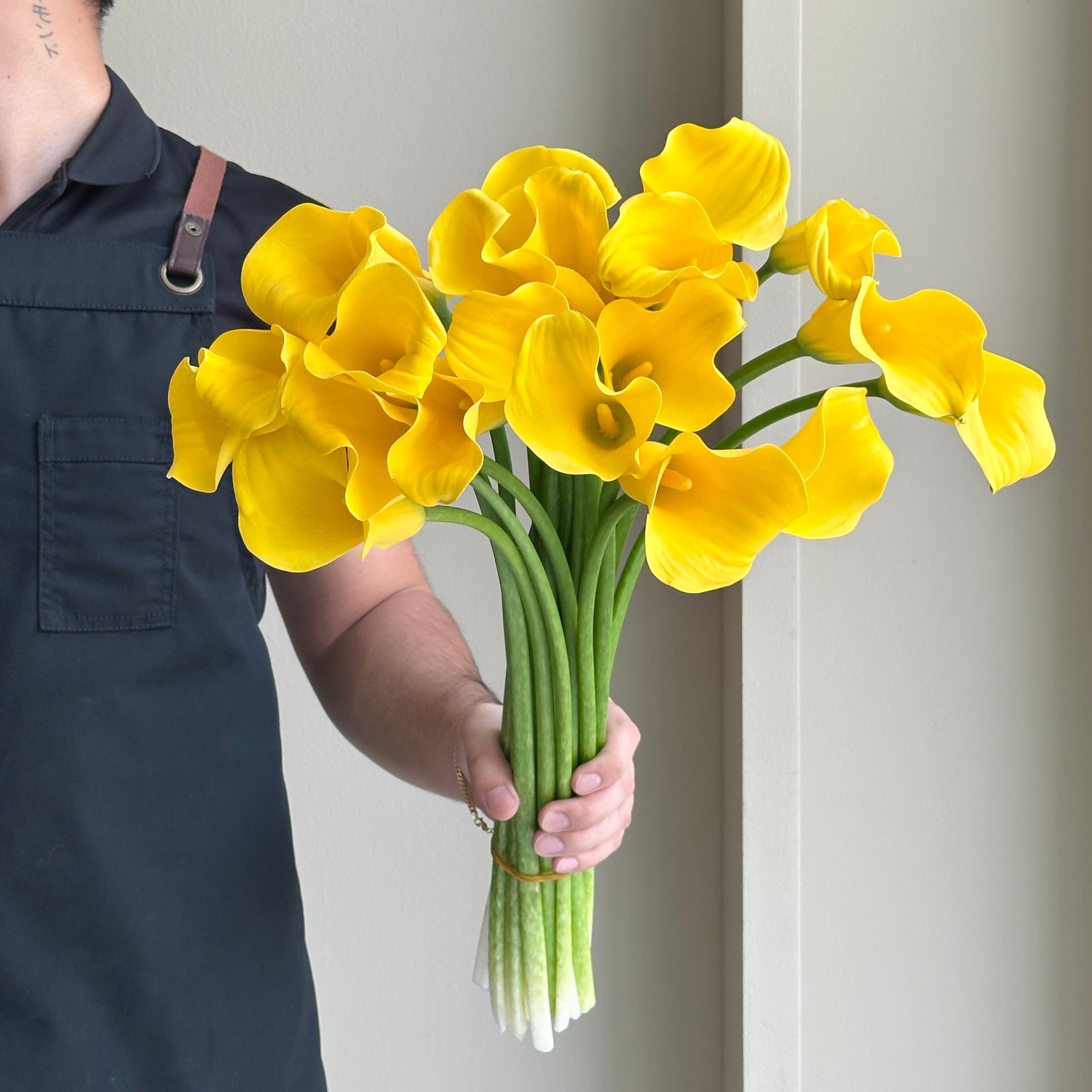 Calla Lilies - Goldcup Yellow