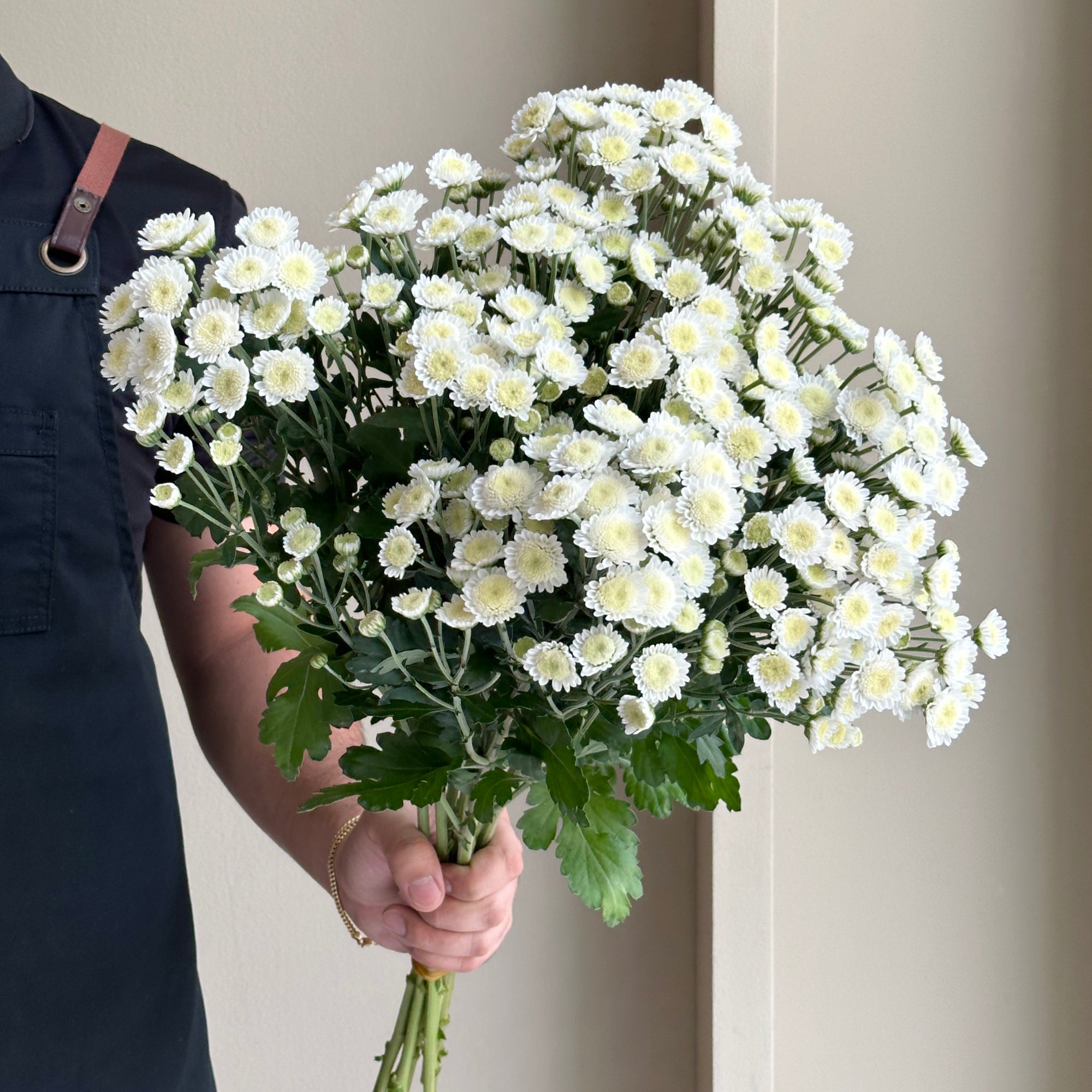 Chrysanthemum Spray - Stallion White