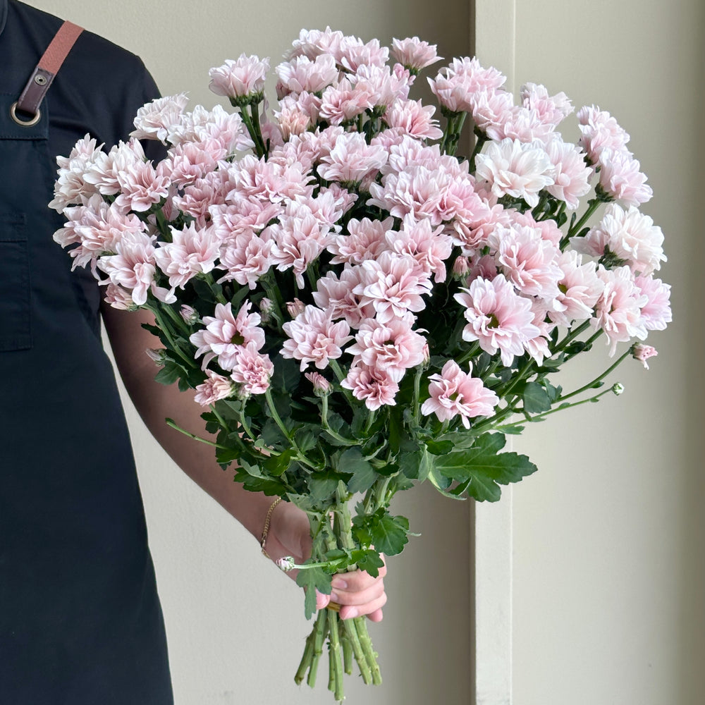 Chrysanthemum Spray - Babe