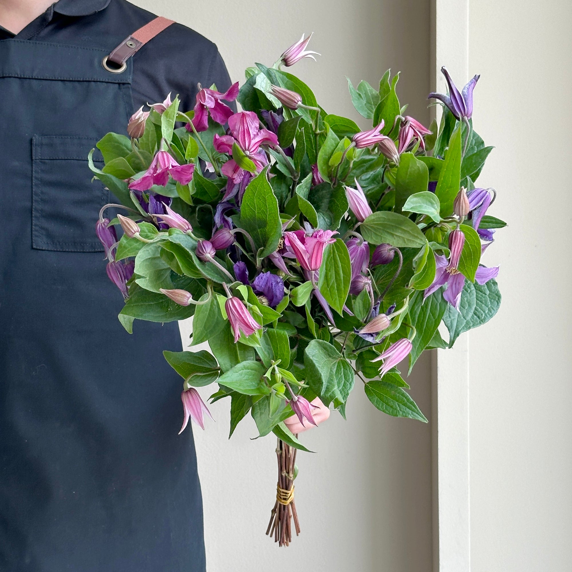 Clematis Mix - Purples and Pods (15 stems)