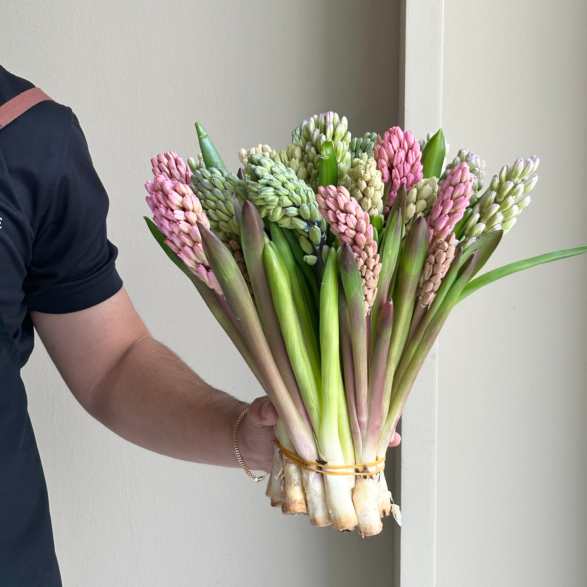 Hyacinthus - Rainbow Mix (20 Stem)