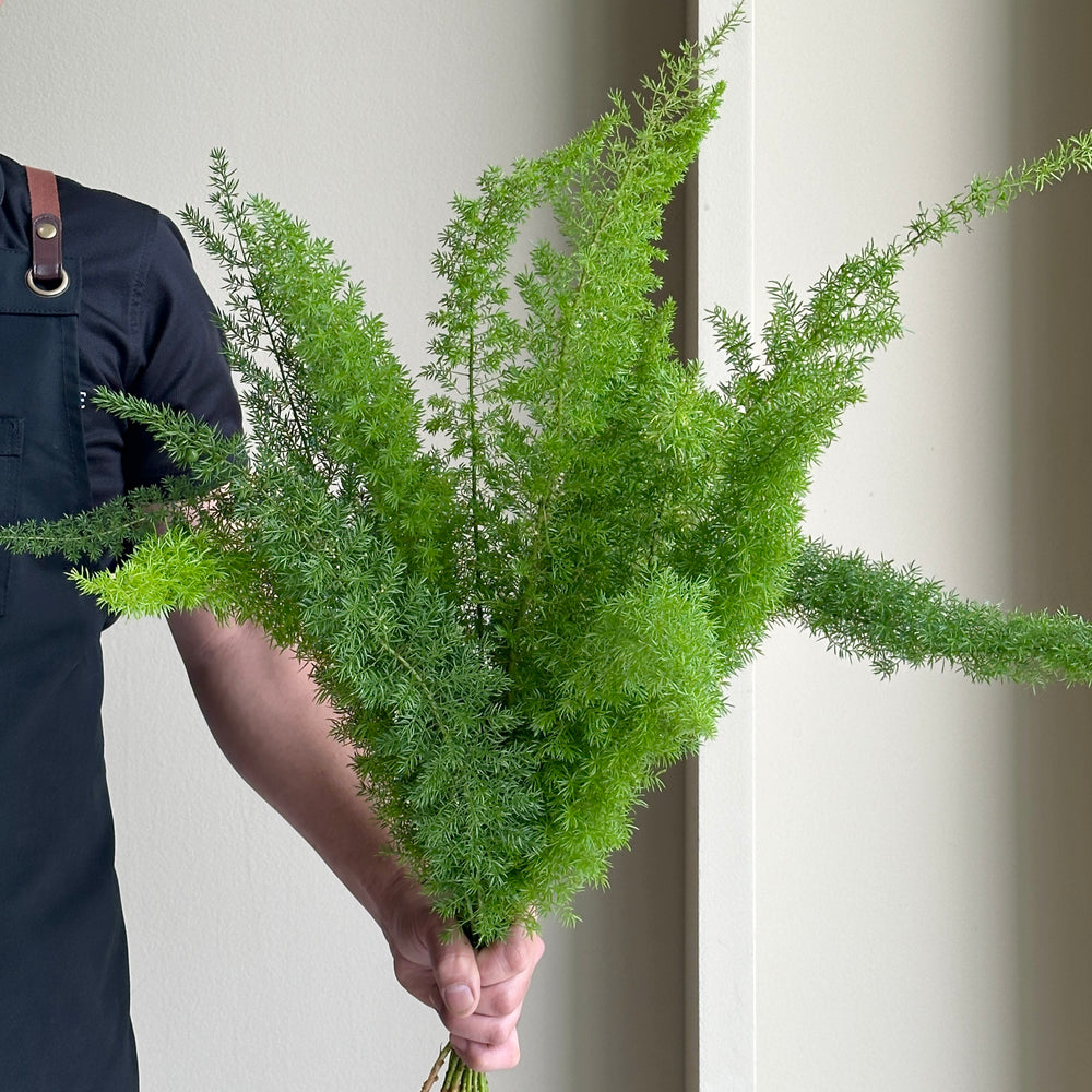 Cutgreens Asparagus - Dens Myers (15 stems)