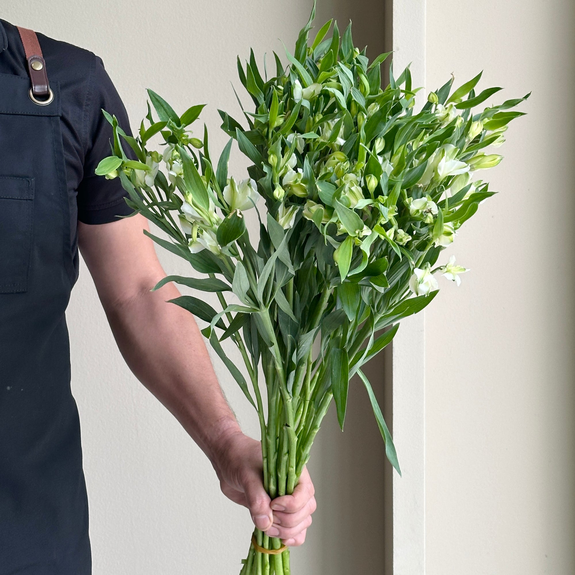 Alstroemerias - Charmelia White (15 stems)