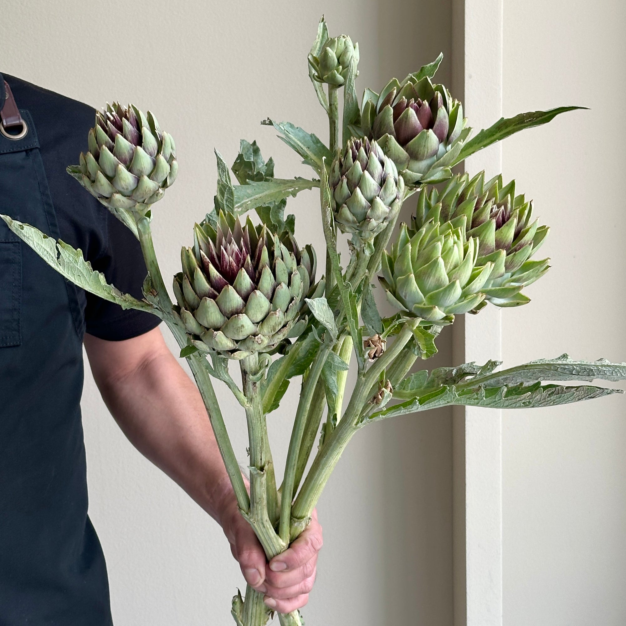 Cynara Purple Gre (3 stems)
