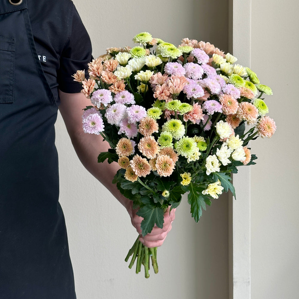Chrysanthemum Spray - Blush Mix (15 stems)
