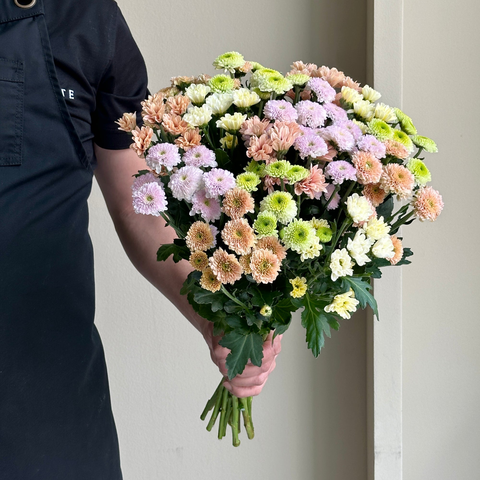 Chrysanthemum Spray - Blush Mix (15 stems)