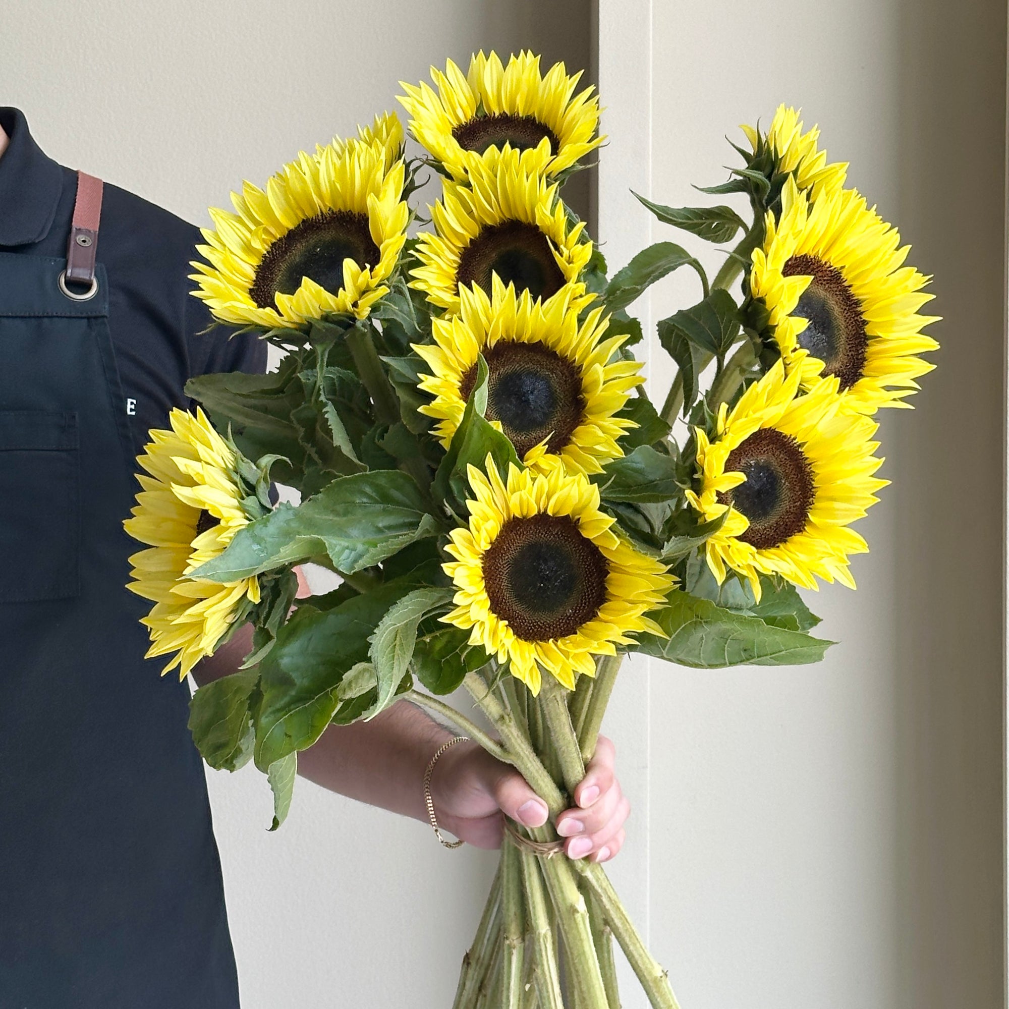 Sunflowers - Sunrich Limoncello