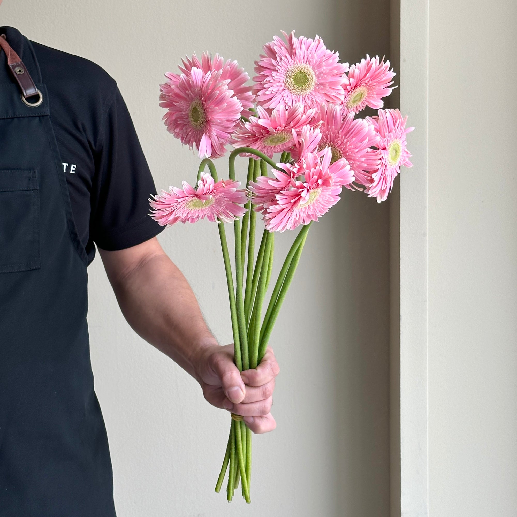 Gerbera - Flash Pink (10 stems)