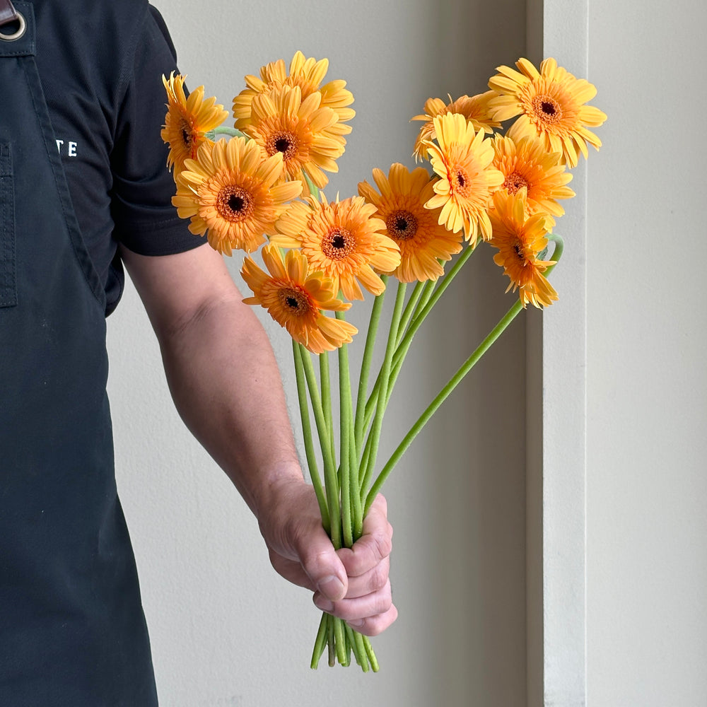 Gerbera - Mini Light Orange (12 stems)