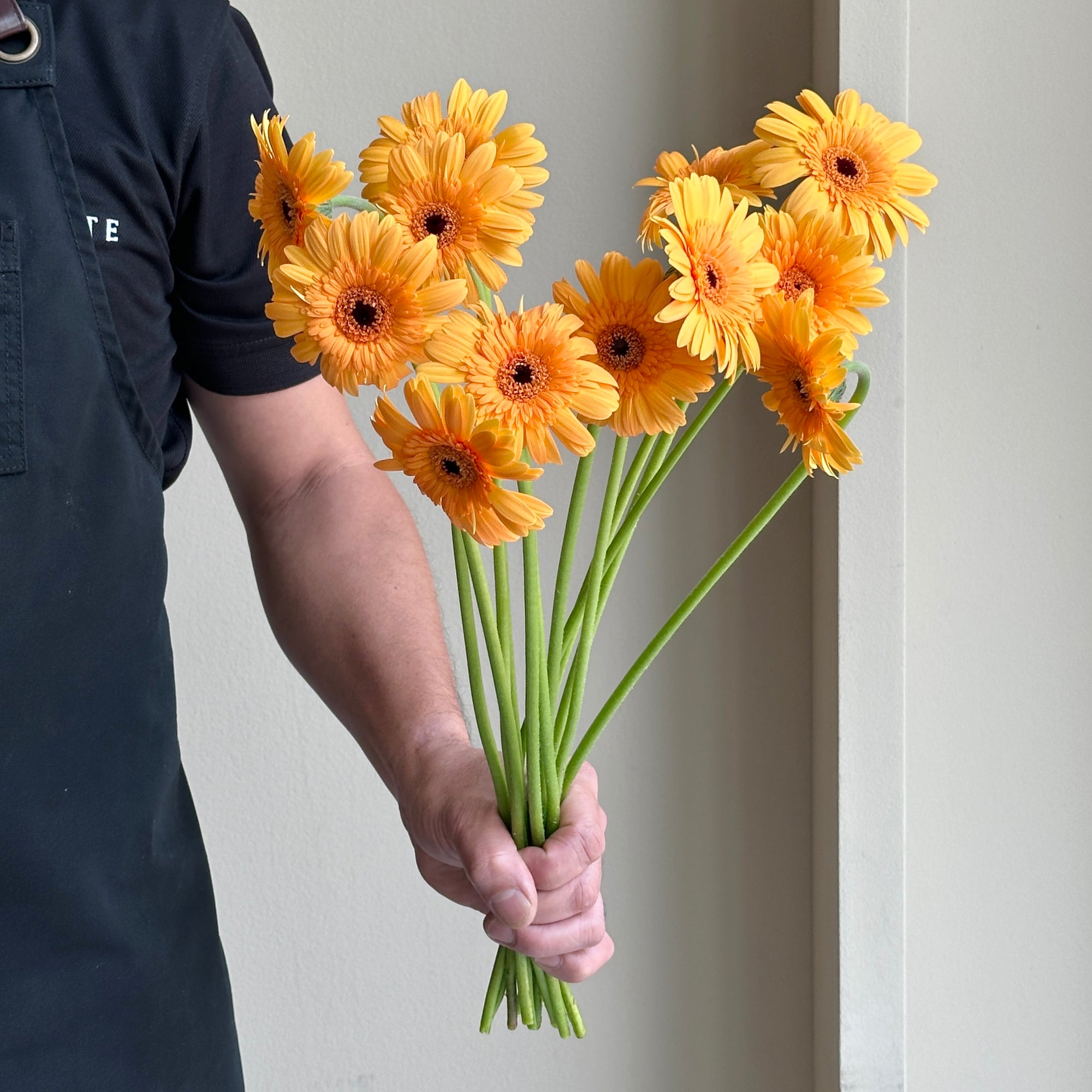 Gerbera - Mini Light Orange (12 stems)
