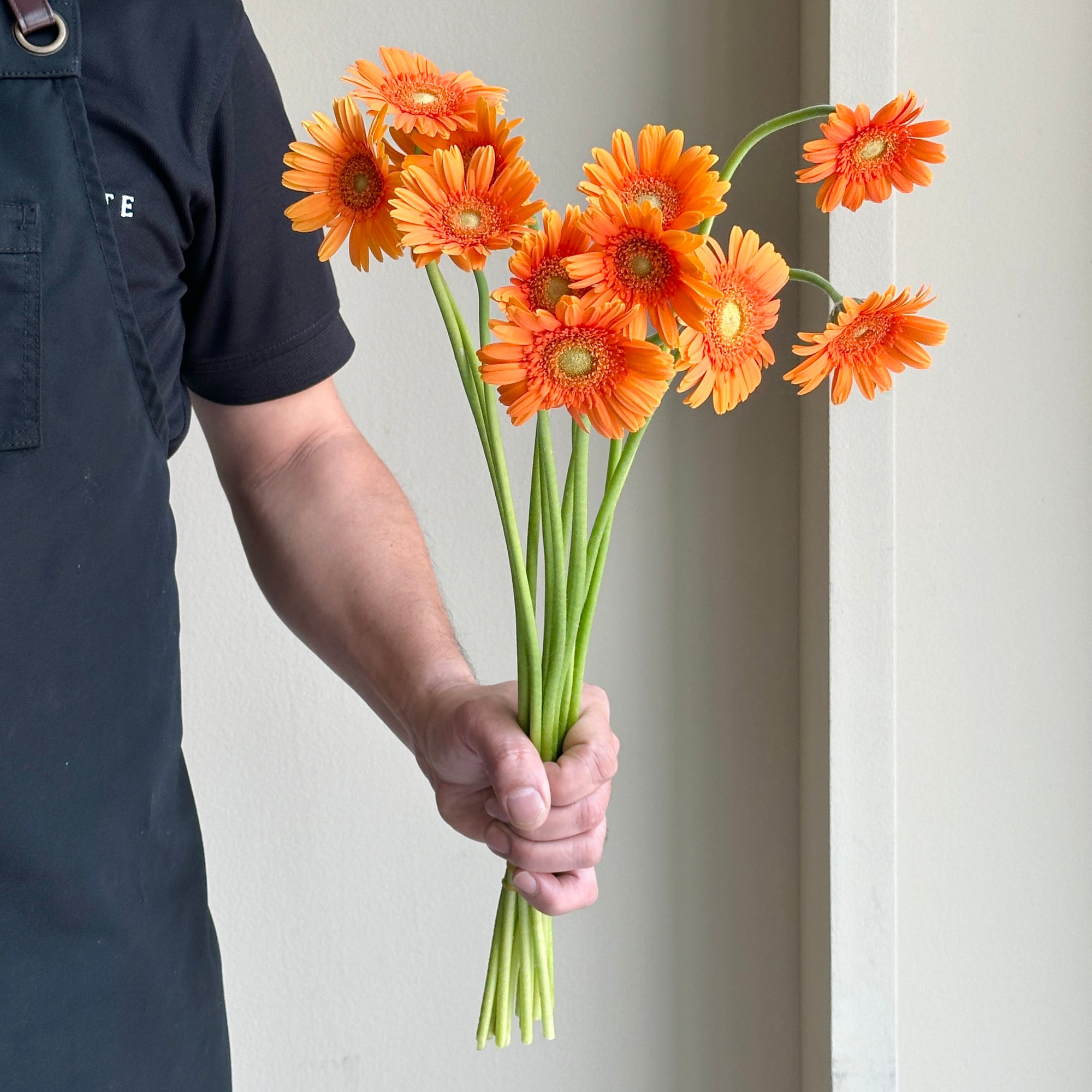 Gerbera - Mini Orange (12 stems)