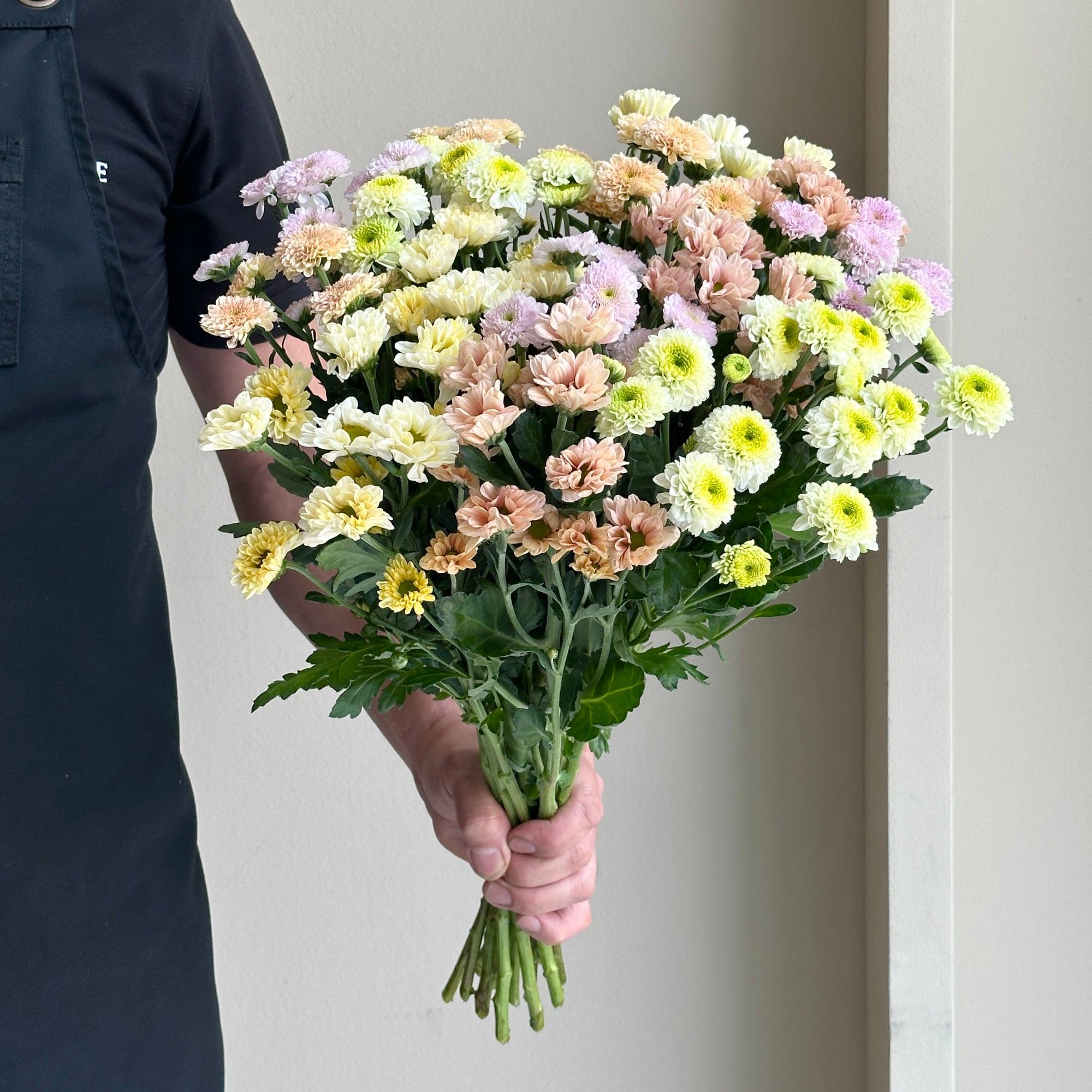 Chrysanthemum Spray - Blush Mix (15 stems)