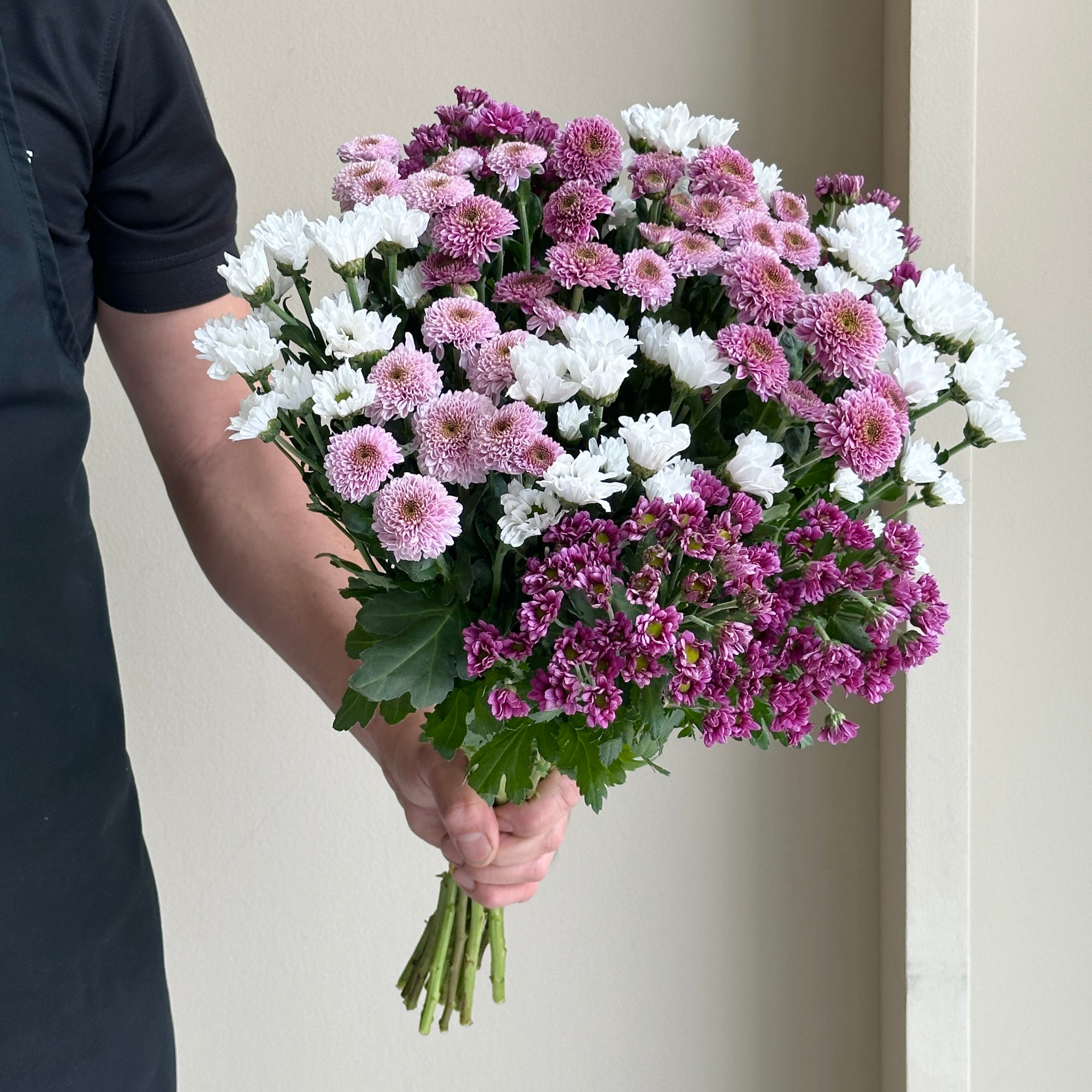Chrysanthemum Spray - Sweet Mix (15 stems)